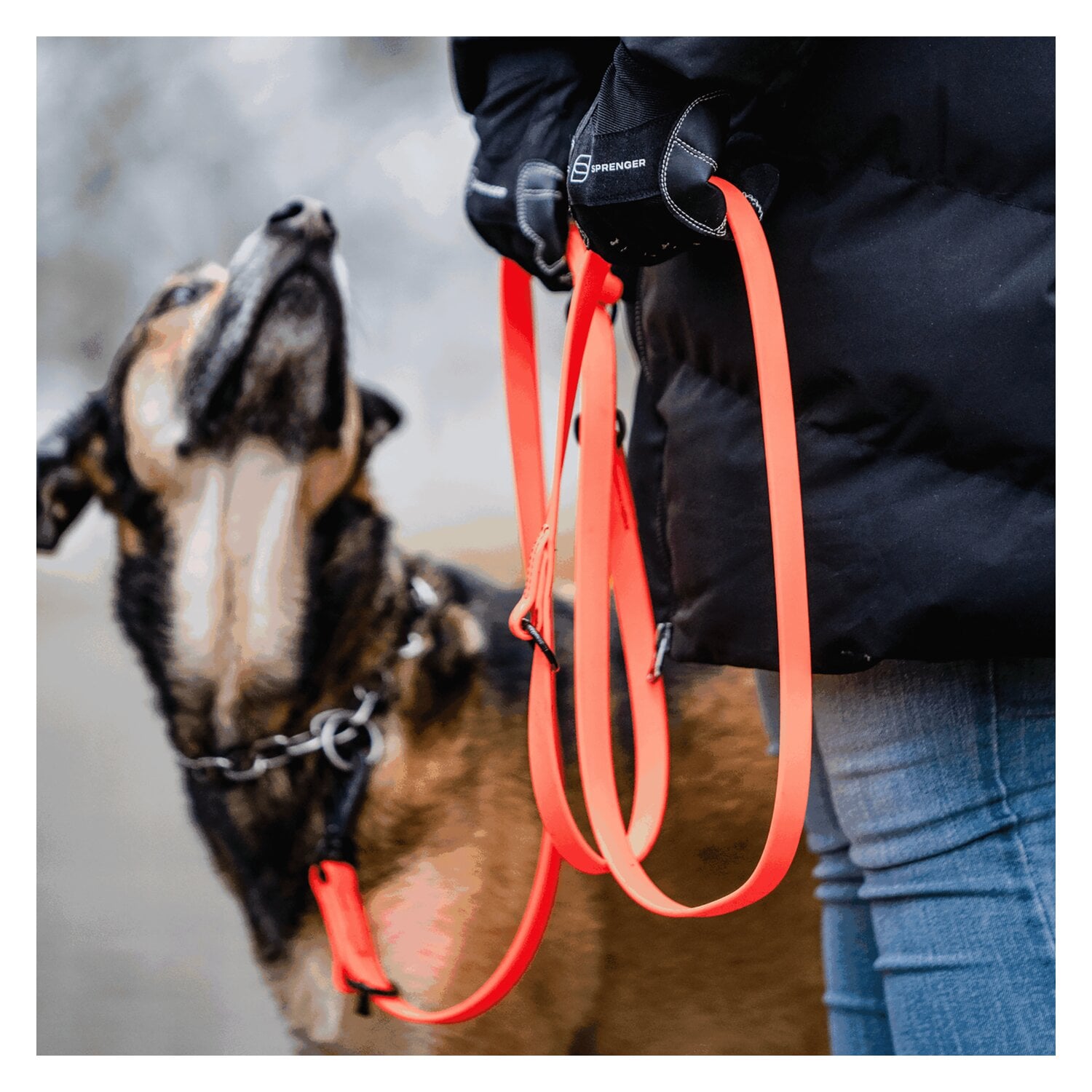 SPRENGER Biothane Leine 3-fach verstellbar &ndash; Ansicht 2