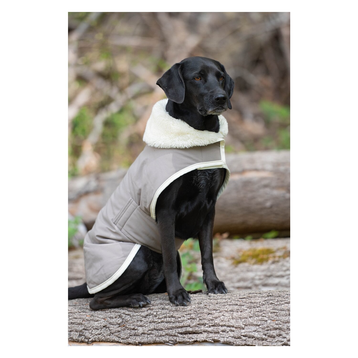 pawberry Hunde-Wintermantel Stockholm 2.0 &ndash; Ansicht 6