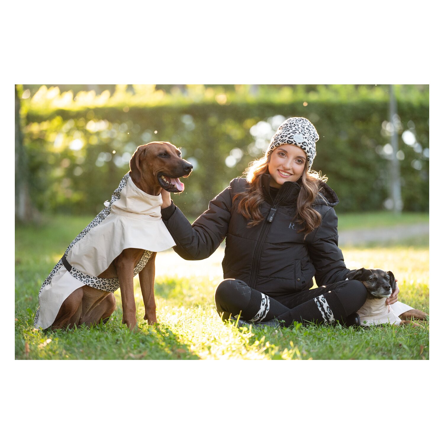 Loesdau Hundemantel - 60 Jahre Loesdau &ndash; Ansicht 7