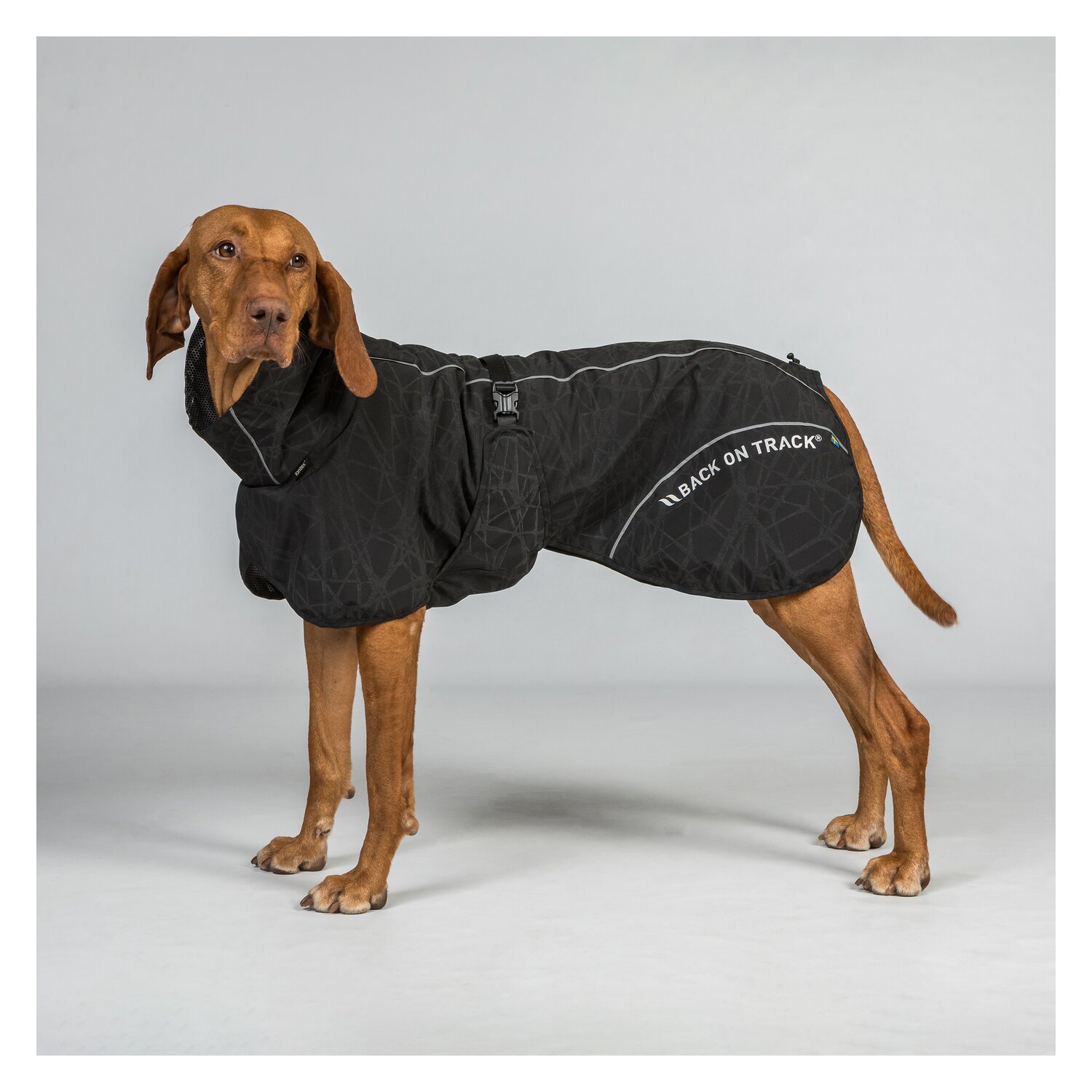 Back on Track Regenmantel für Hunde &ndash; Ansicht 2