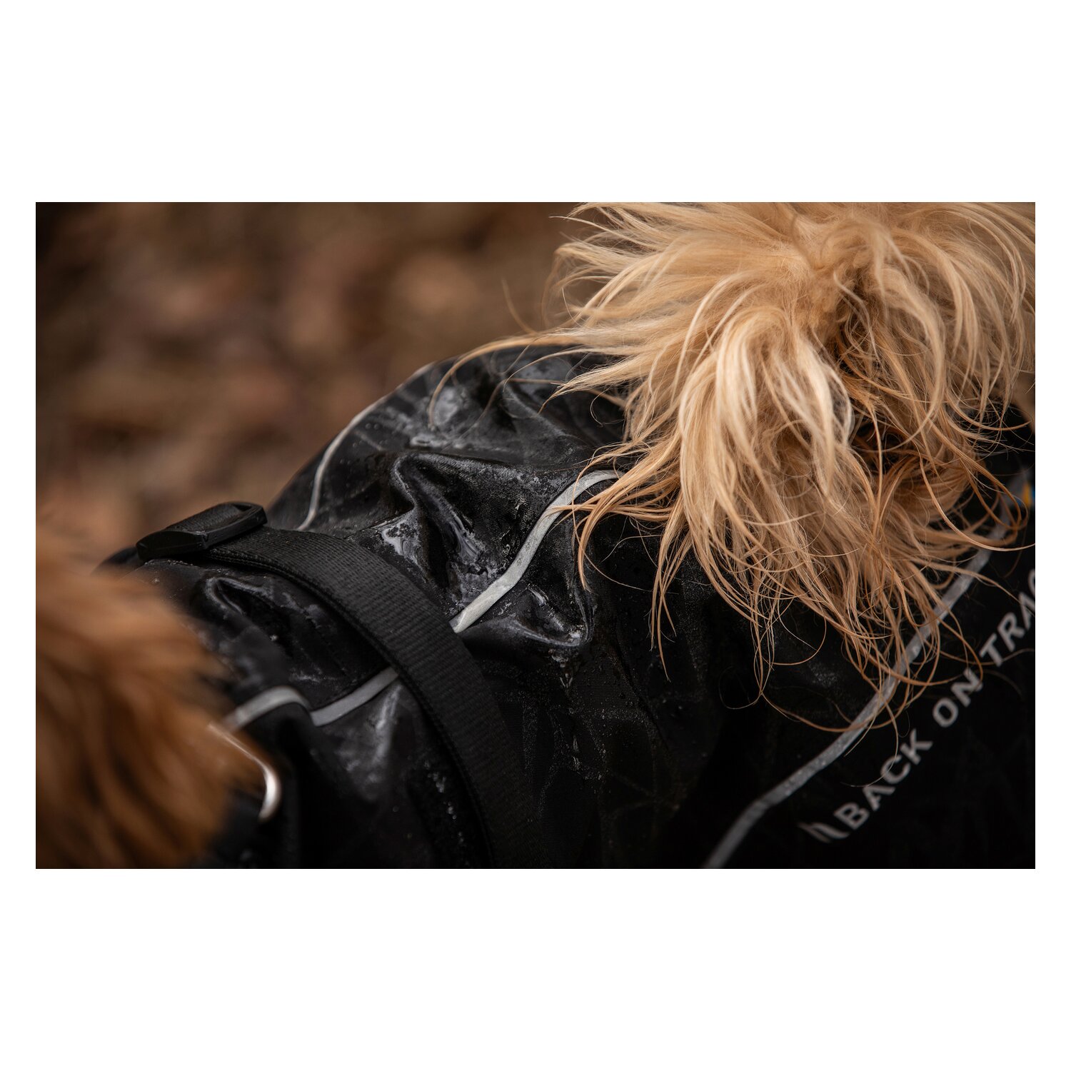 Back on Track Regenmantel für Hunde &ndash; Ansicht 8