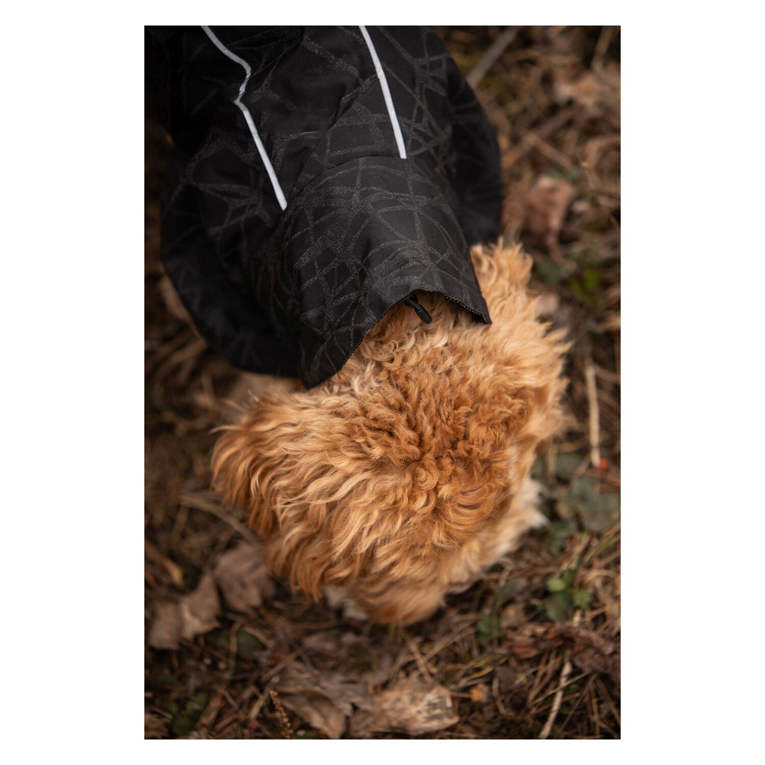Back on Track Regenmantel für Hunde &ndash; Ansicht 9