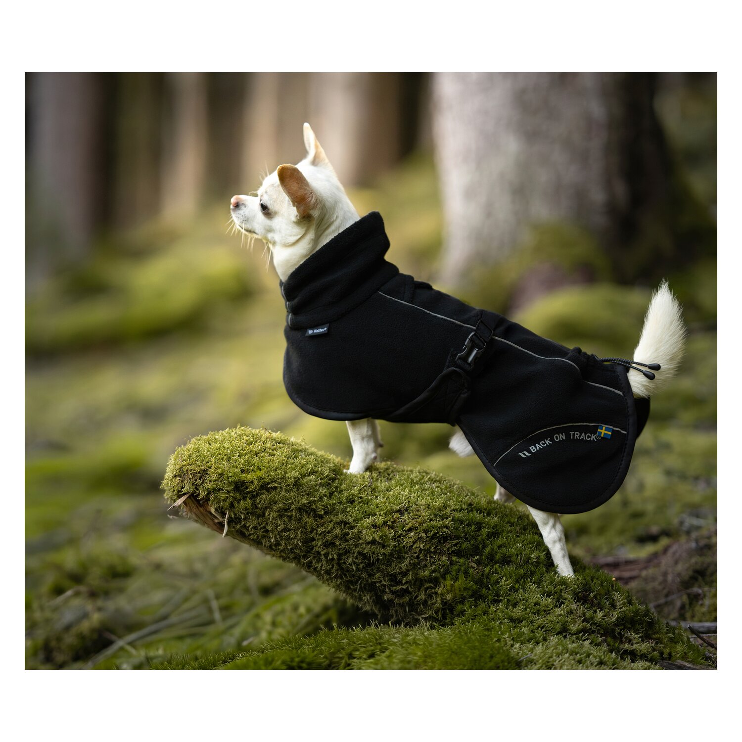 Back in Track Hunde-Fleecemantel Bay, Back on Track &ndash; Ansicht 4