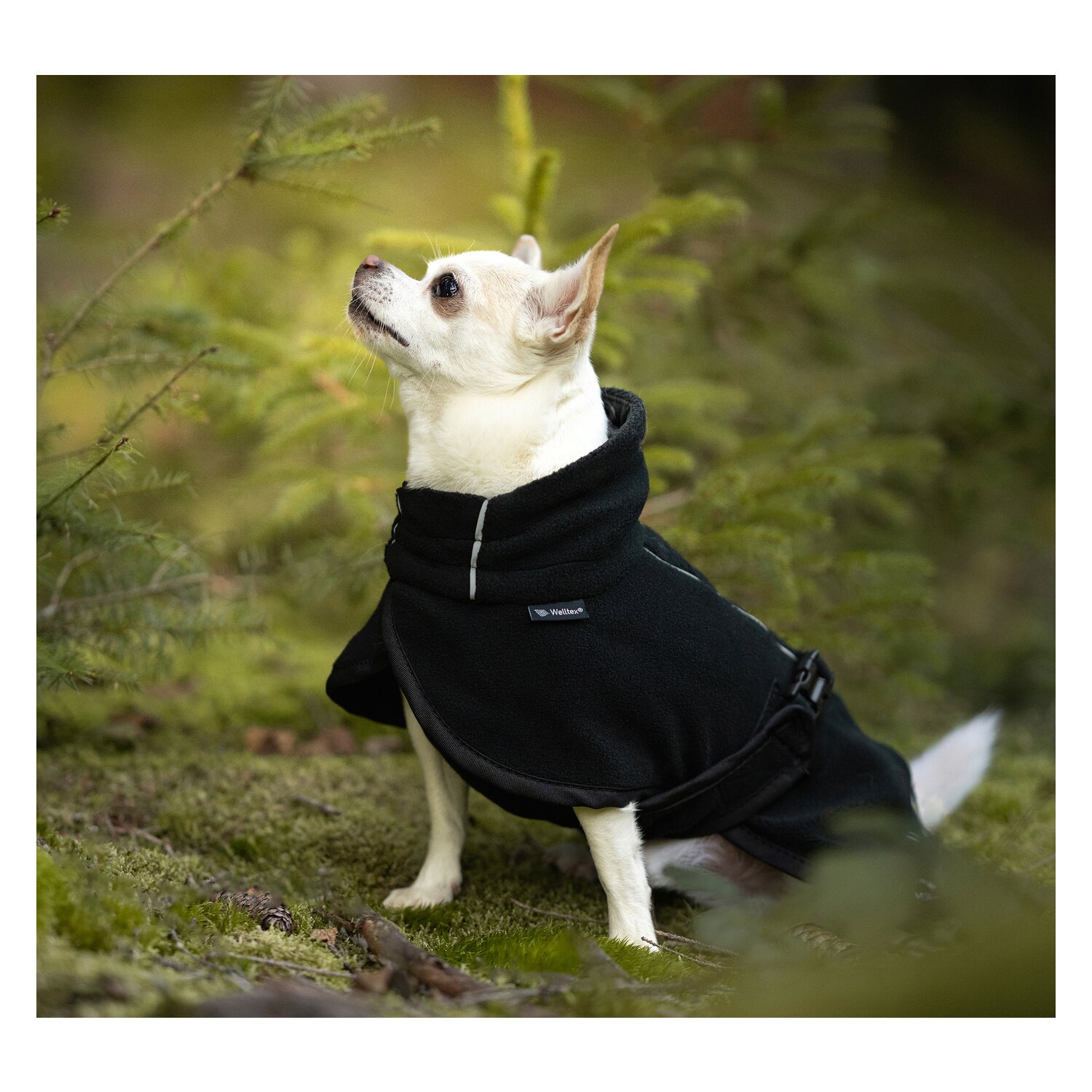 Back in Track Hunde-Fleecemantel Bay, Back on Track &ndash; Ansicht 5
