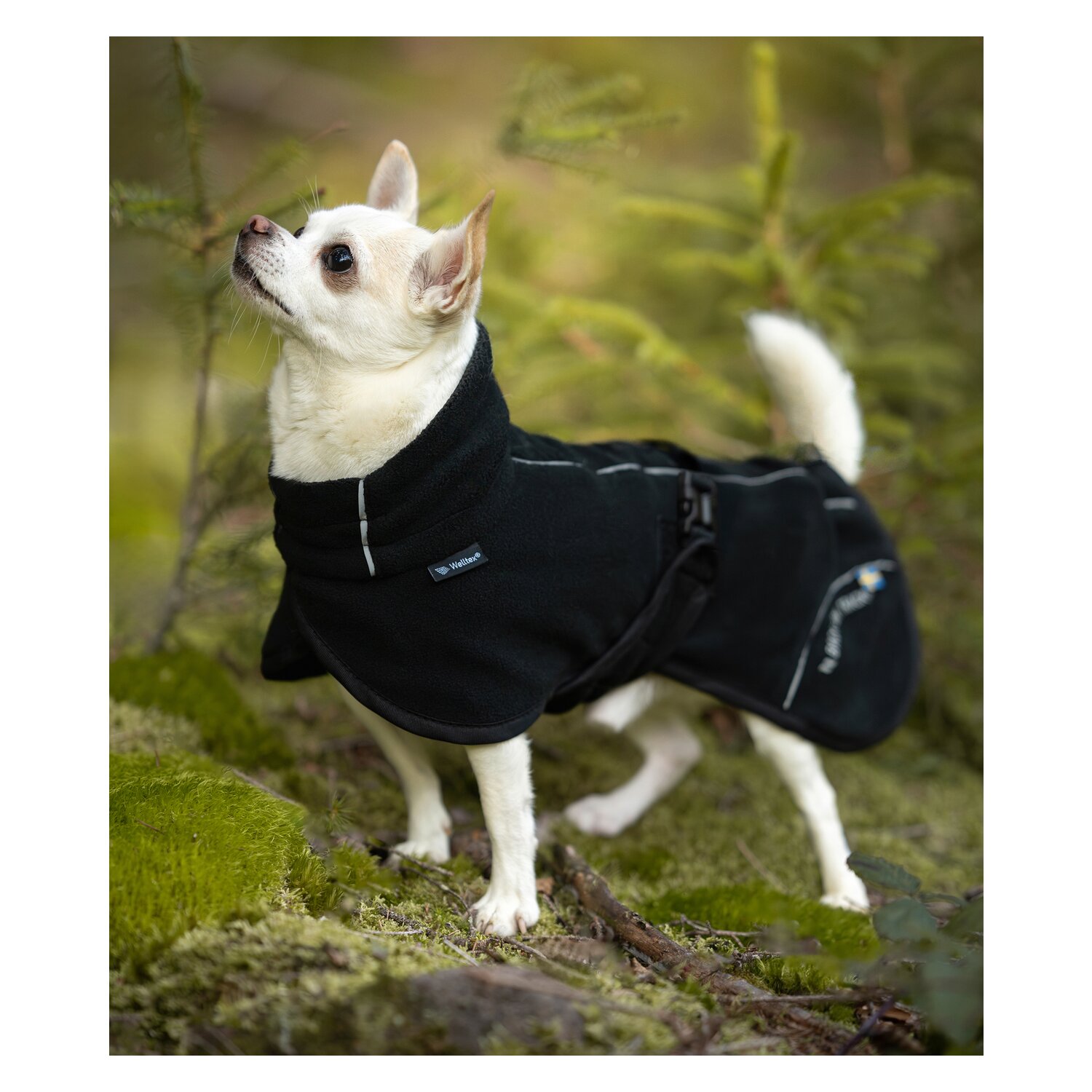 Back in Track Hunde-Fleecemantel Bay, Back on Track &ndash; Ansicht 6