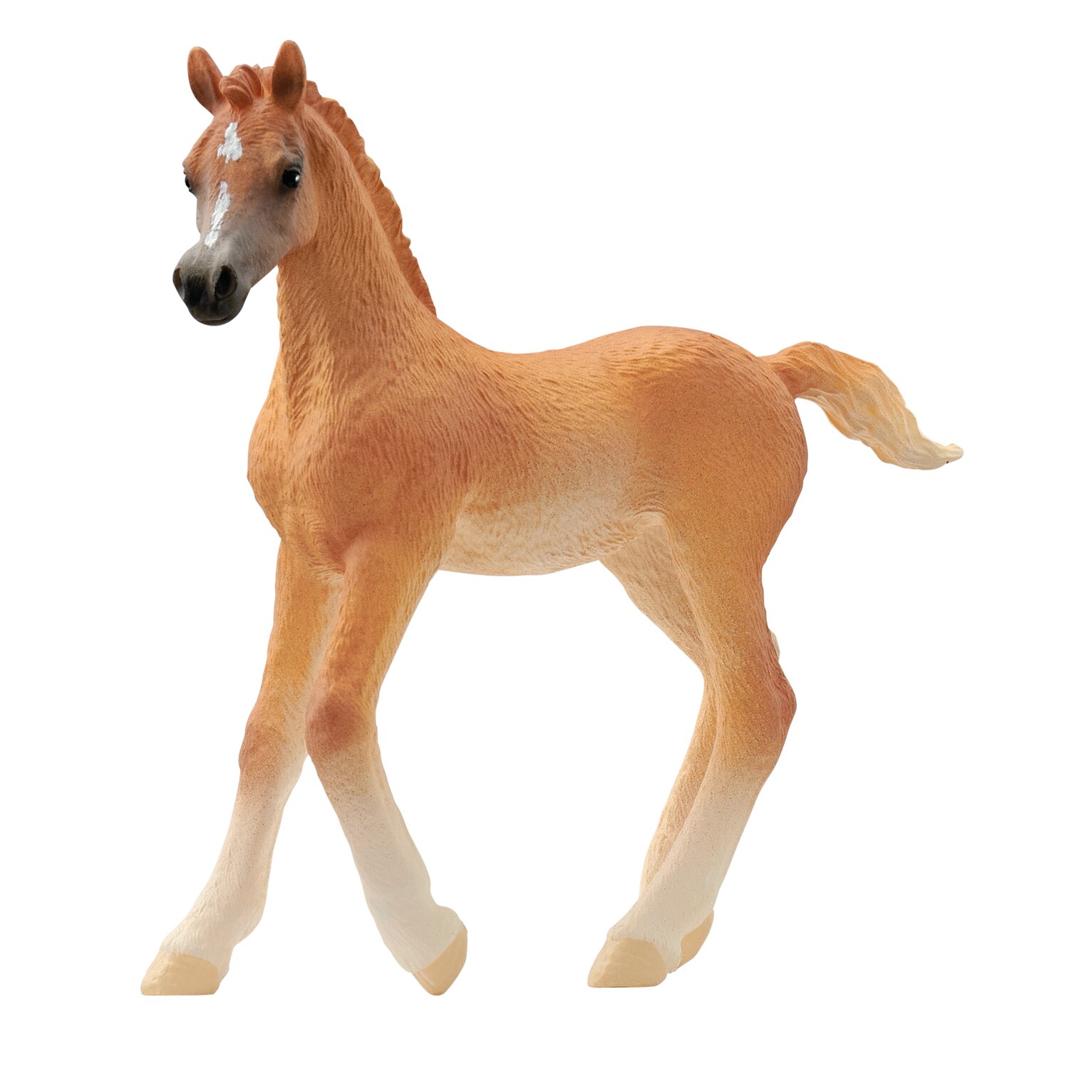Schleich HORSE CLUB Araber Fohlen – Ansicht 1