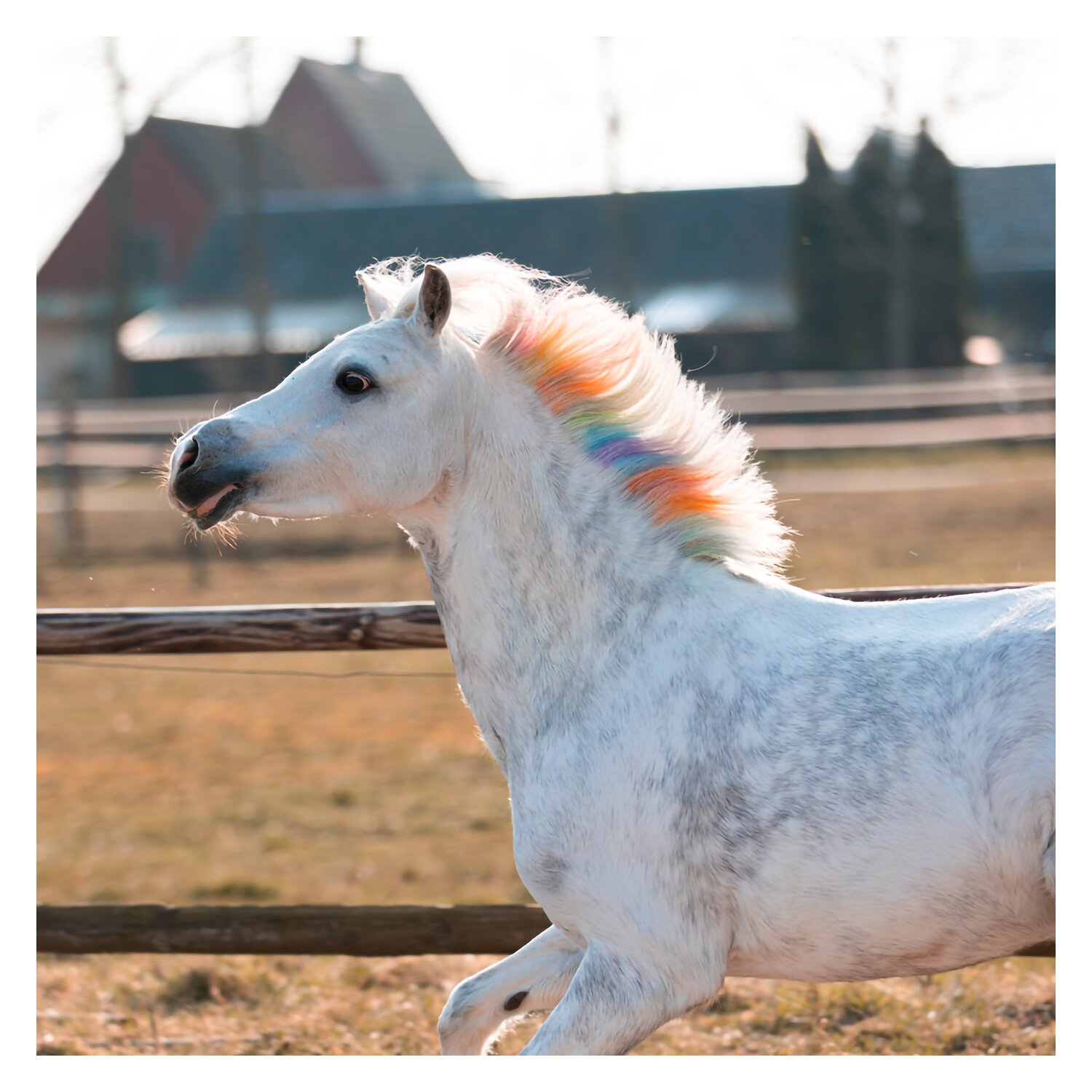Regenbogenfarbige Kreide Lucky Horse Unicorn – Ansicht 4