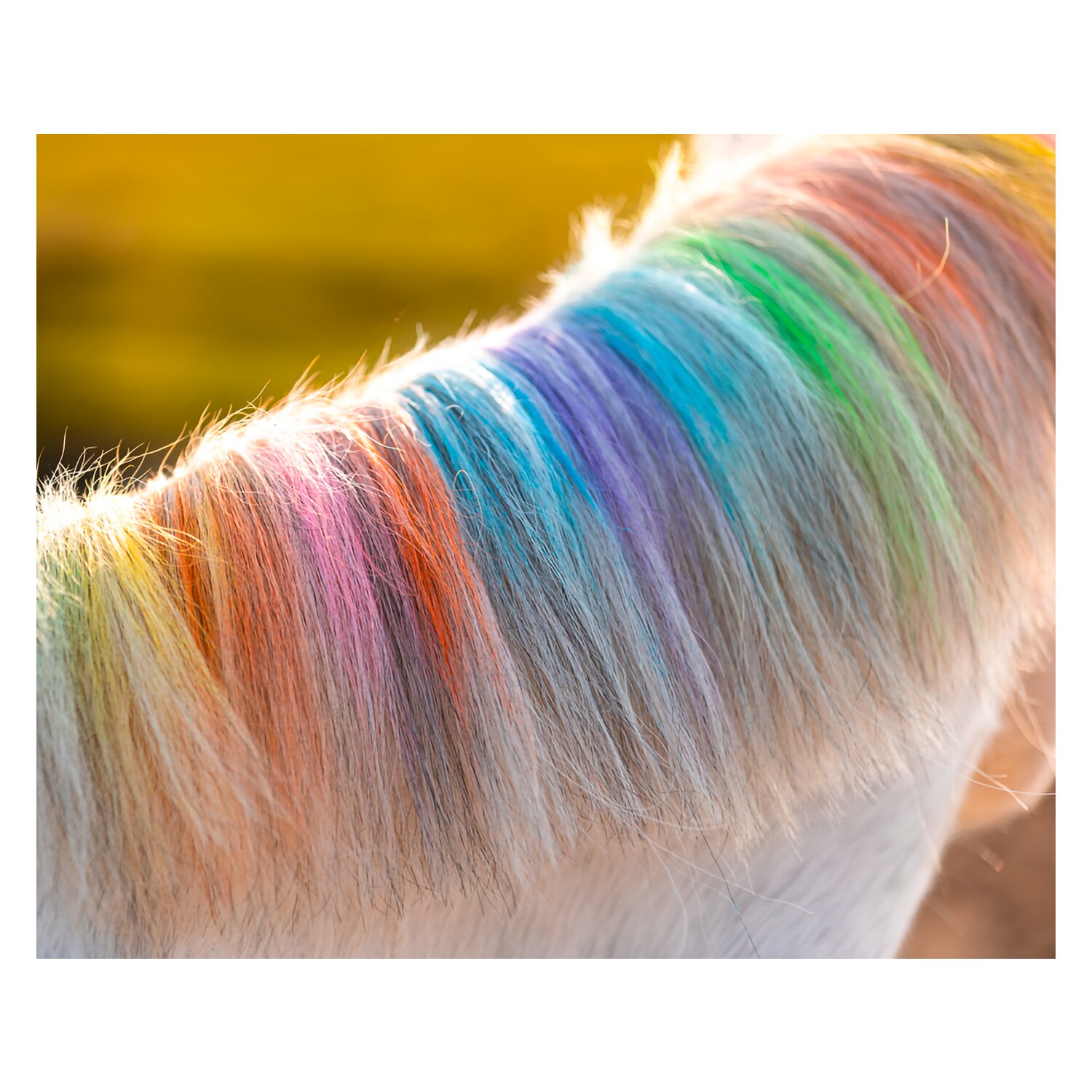 Regenbogenfarbige Kreide Lucky Horse Unicorn – Ansicht 2