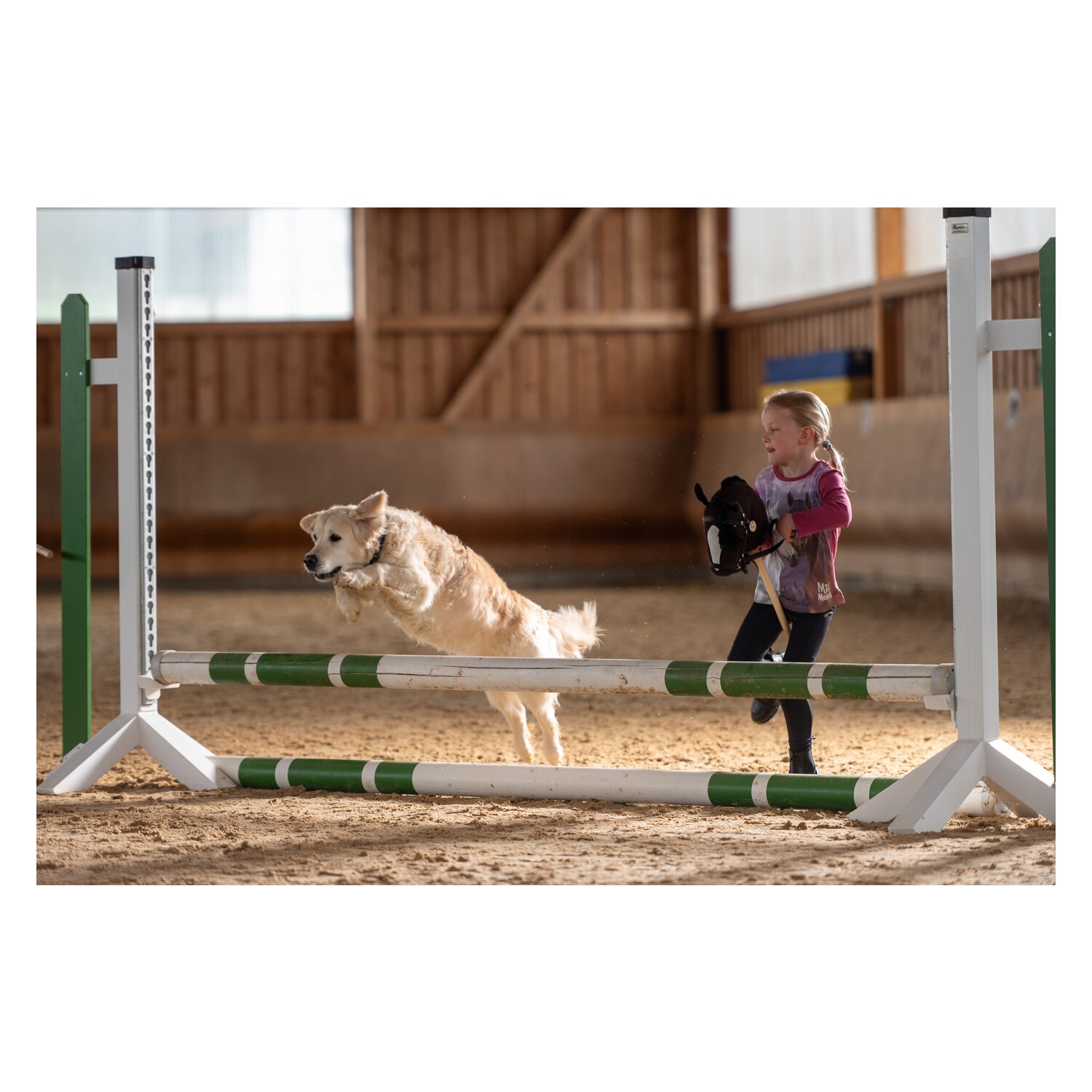 ASTRUP Steckenpferd Hobby Horse – Ansicht 6