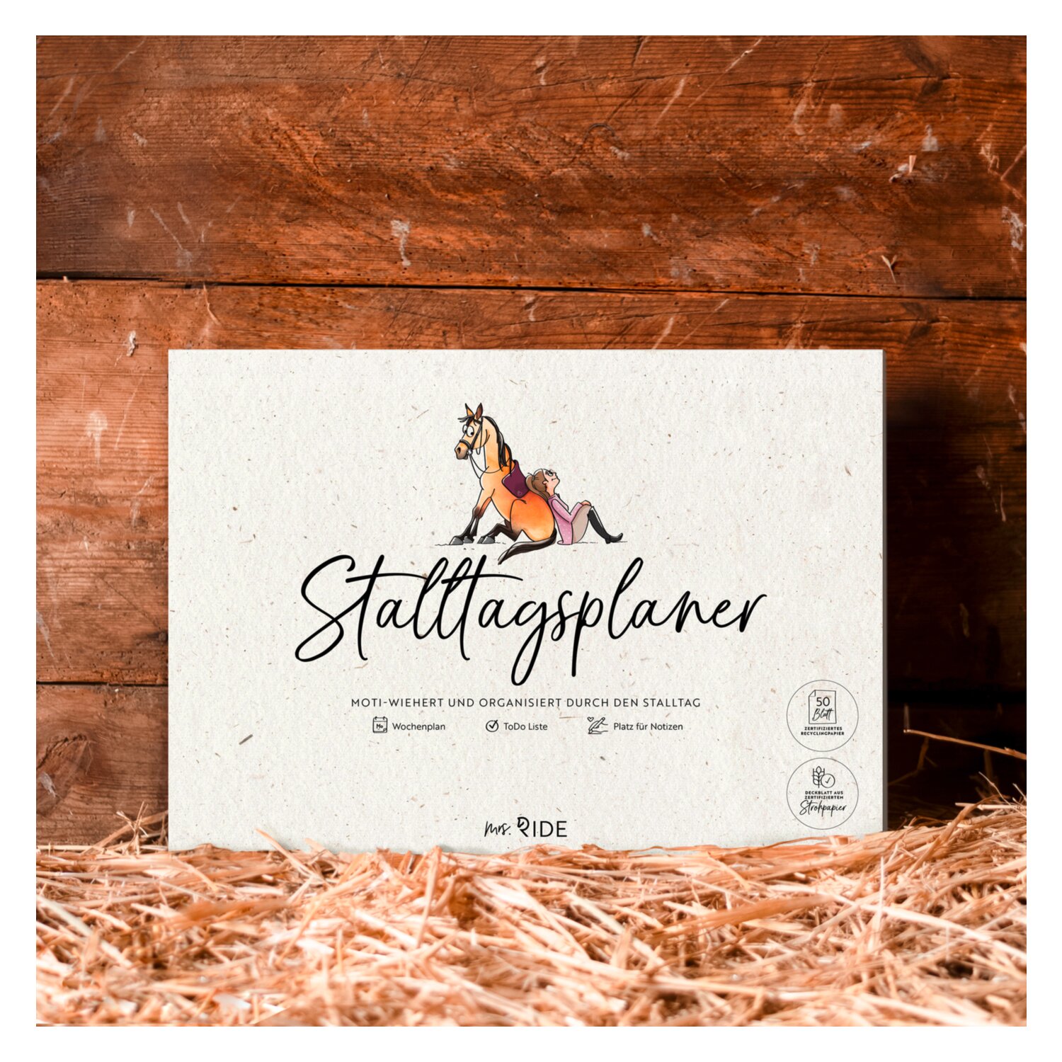 mrs. RIDE Stalltagsplaner – Ansicht 3