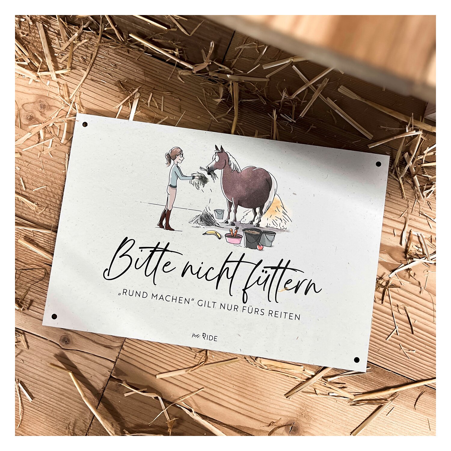 mrs. RIDE Stallschild – Ansicht 2