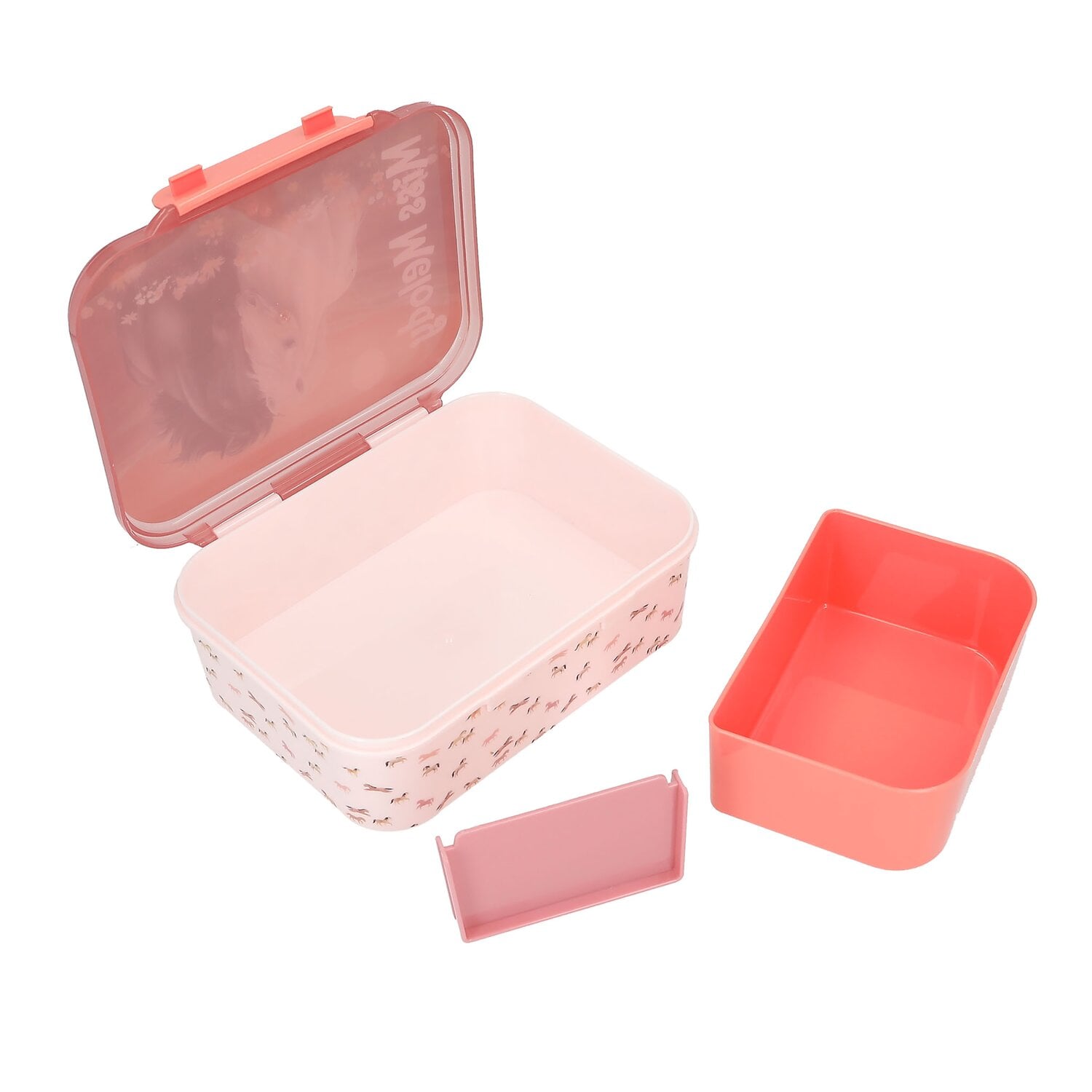 Miss Melody Brotdose Blossom Pony &ndash; Ansicht 5