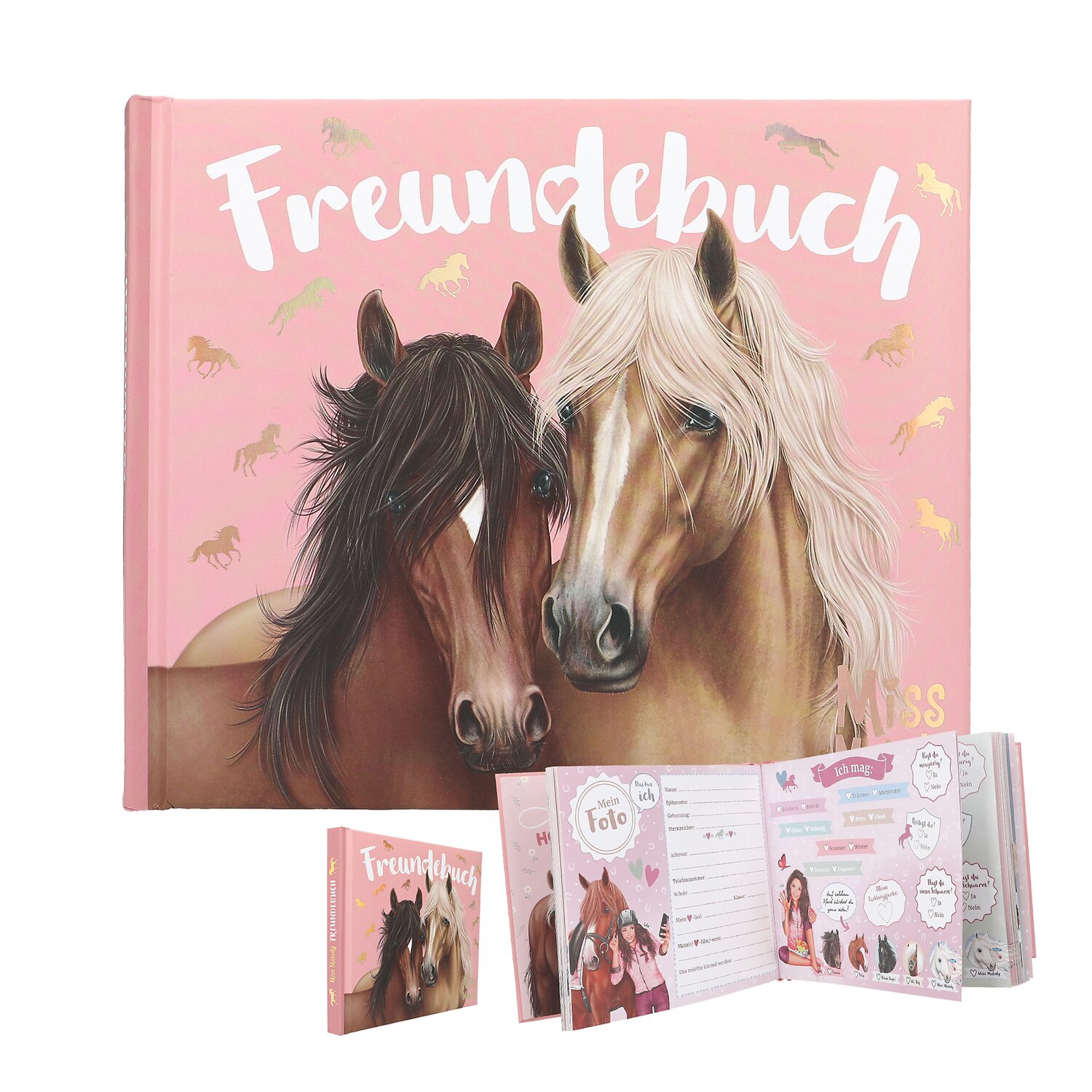 Miss Melody Freundebuch – Ansicht 1