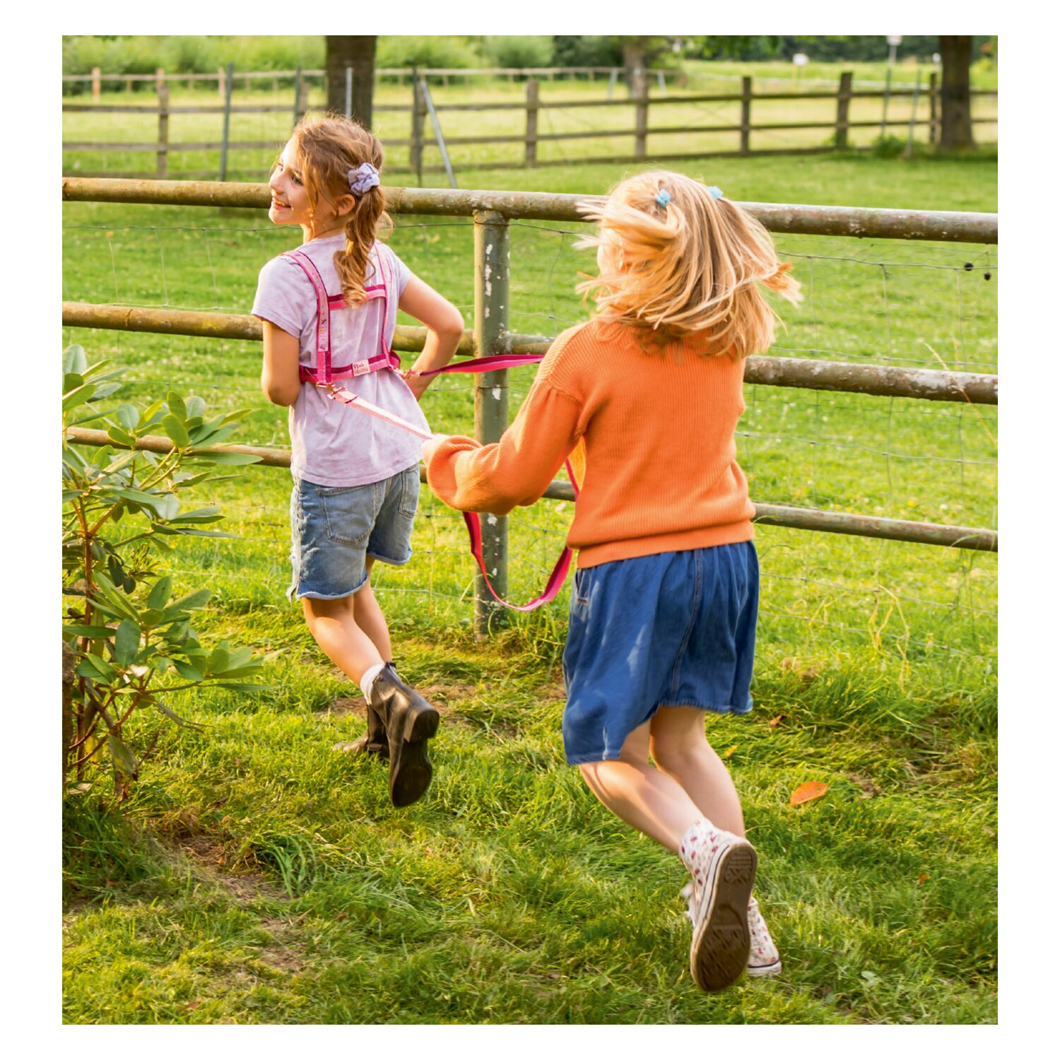 DIE SPIEGELBURG Pferdeleine Pferdefreunde – Ansicht 3