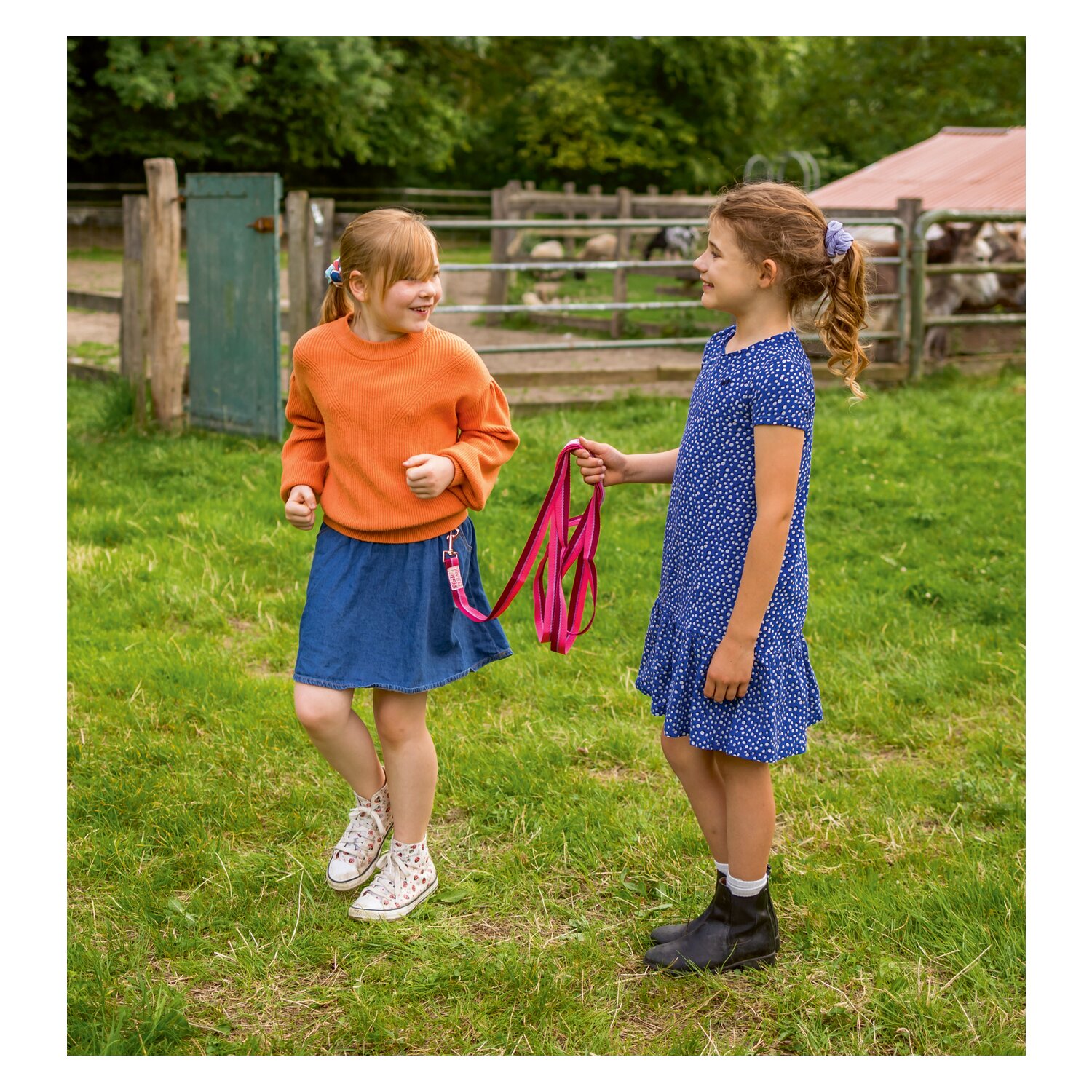 DIE SPIEGELBURG Longierleine Pferdefreunde – Ansicht 3