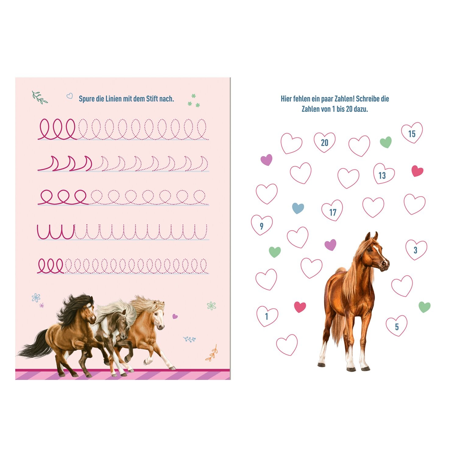 COPPENRATH Pferde Schulstart-Box Pferdefreunde &ndash; Ansicht 9