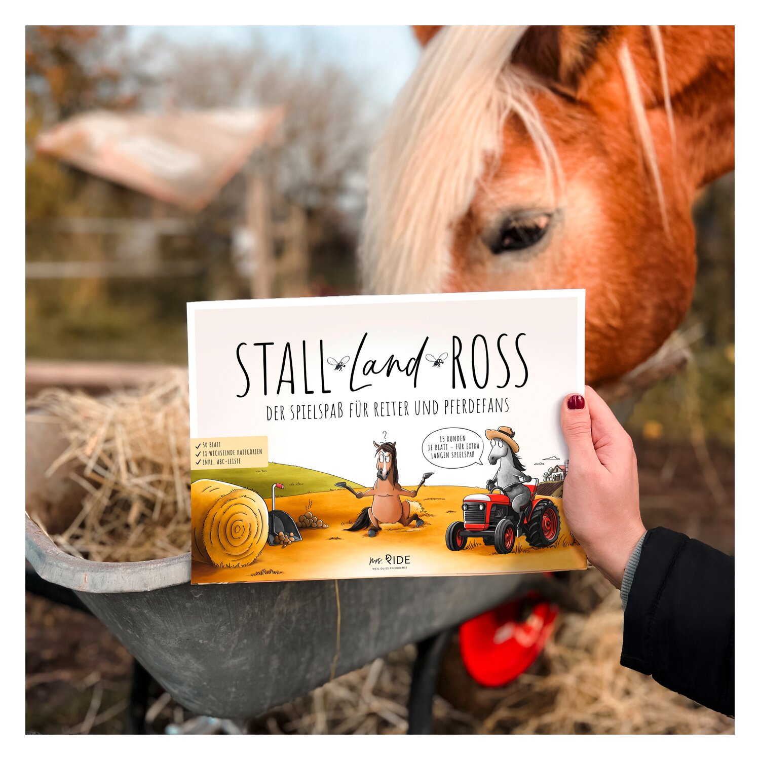 mrs. RIDE Spielblock Stall Land Ross &ndash; Ansicht 6