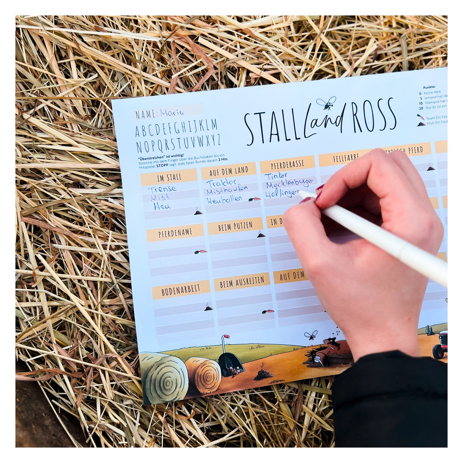 mrs. RIDE Spielblock Stall Land Ross &ndash; Ansicht 7