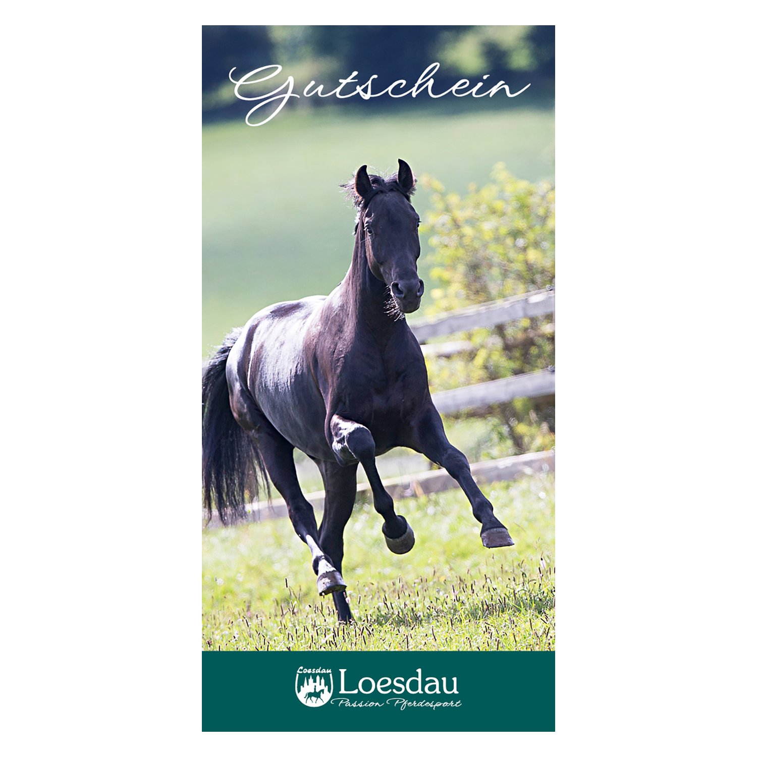 Loesdau Geschenk-Gutschein (mit Geschenkkarte) – Ansicht 1
