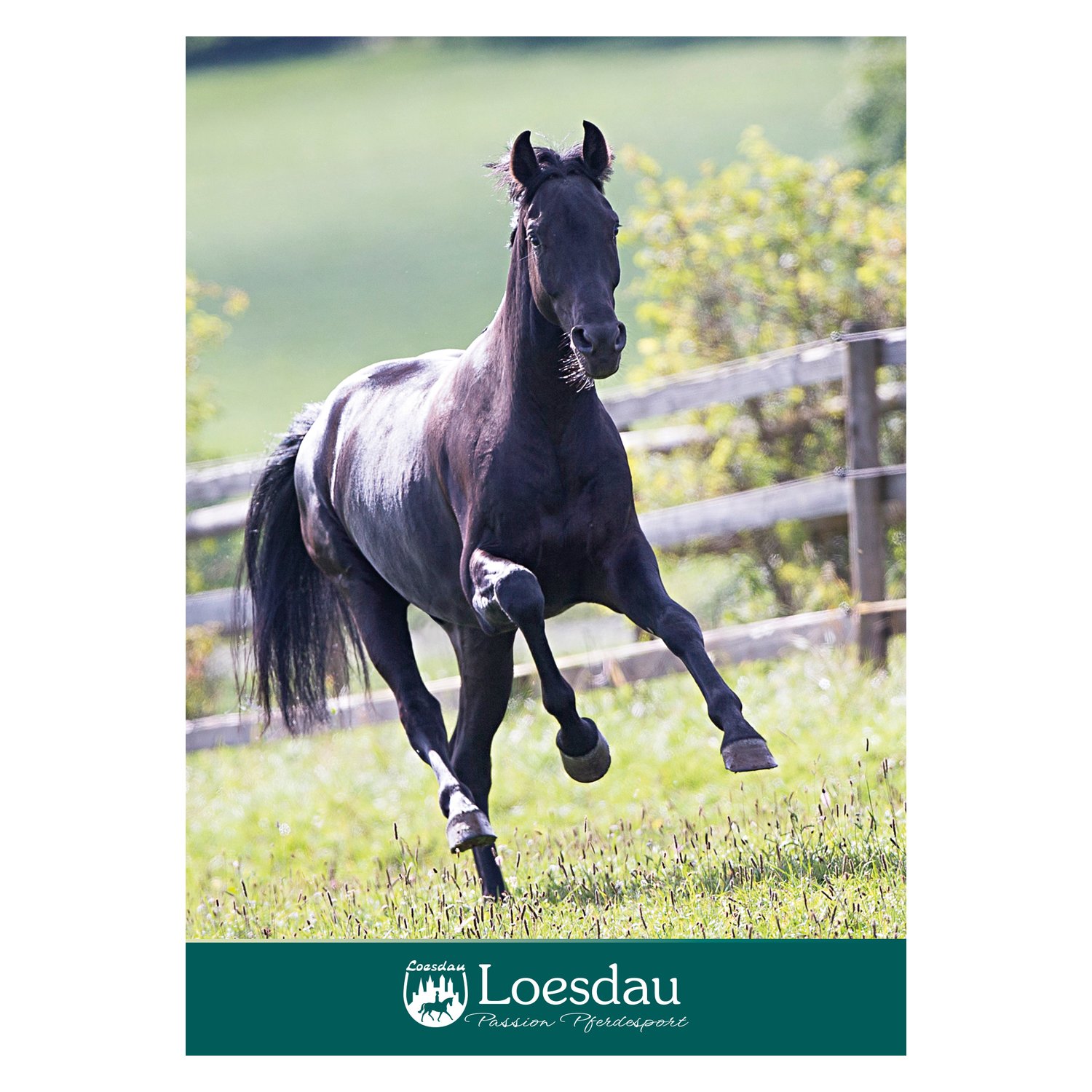 Loesdau Gutschein zum Drucken – Ansicht 1