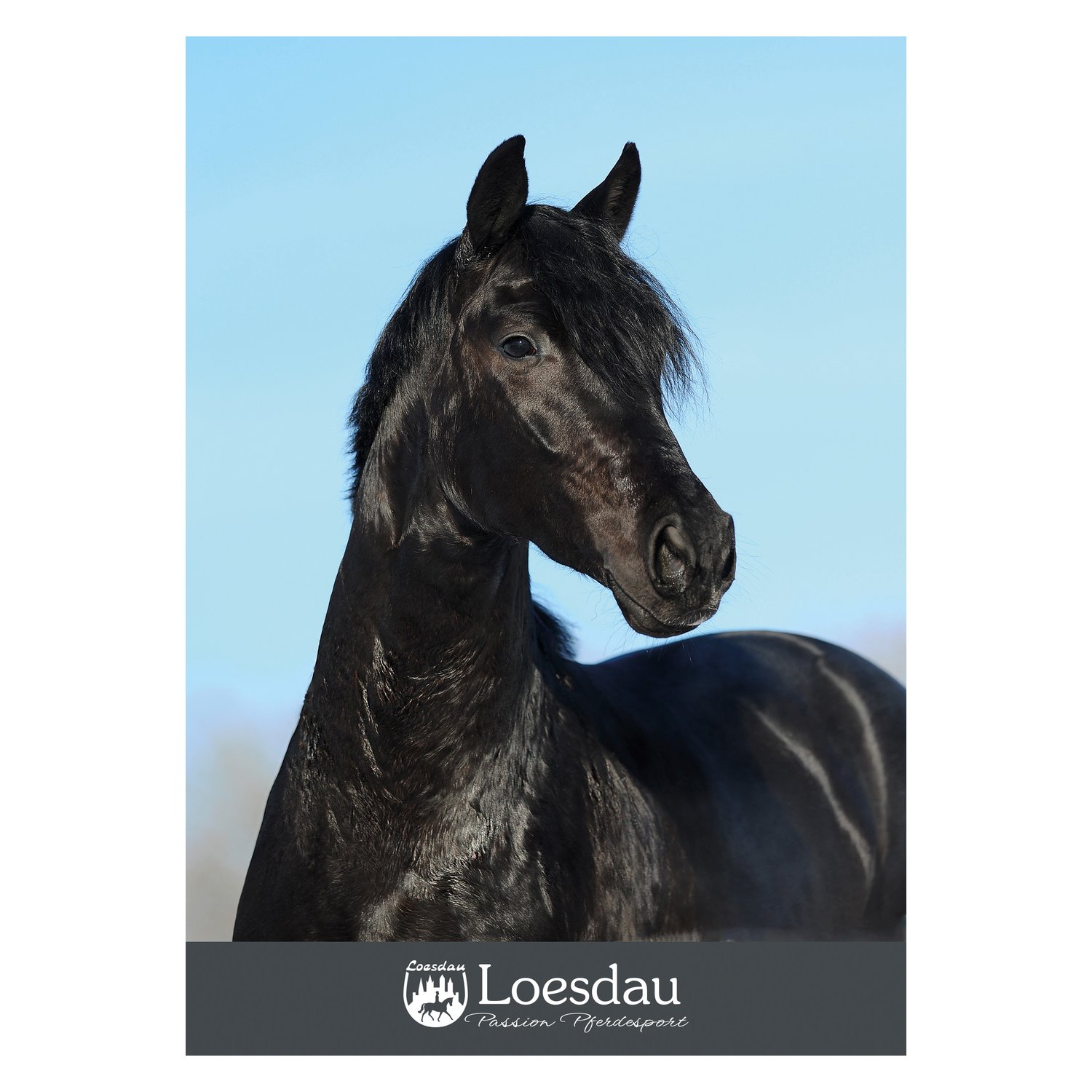 Loesdau Gutschein zum Drucken – Ansicht 1