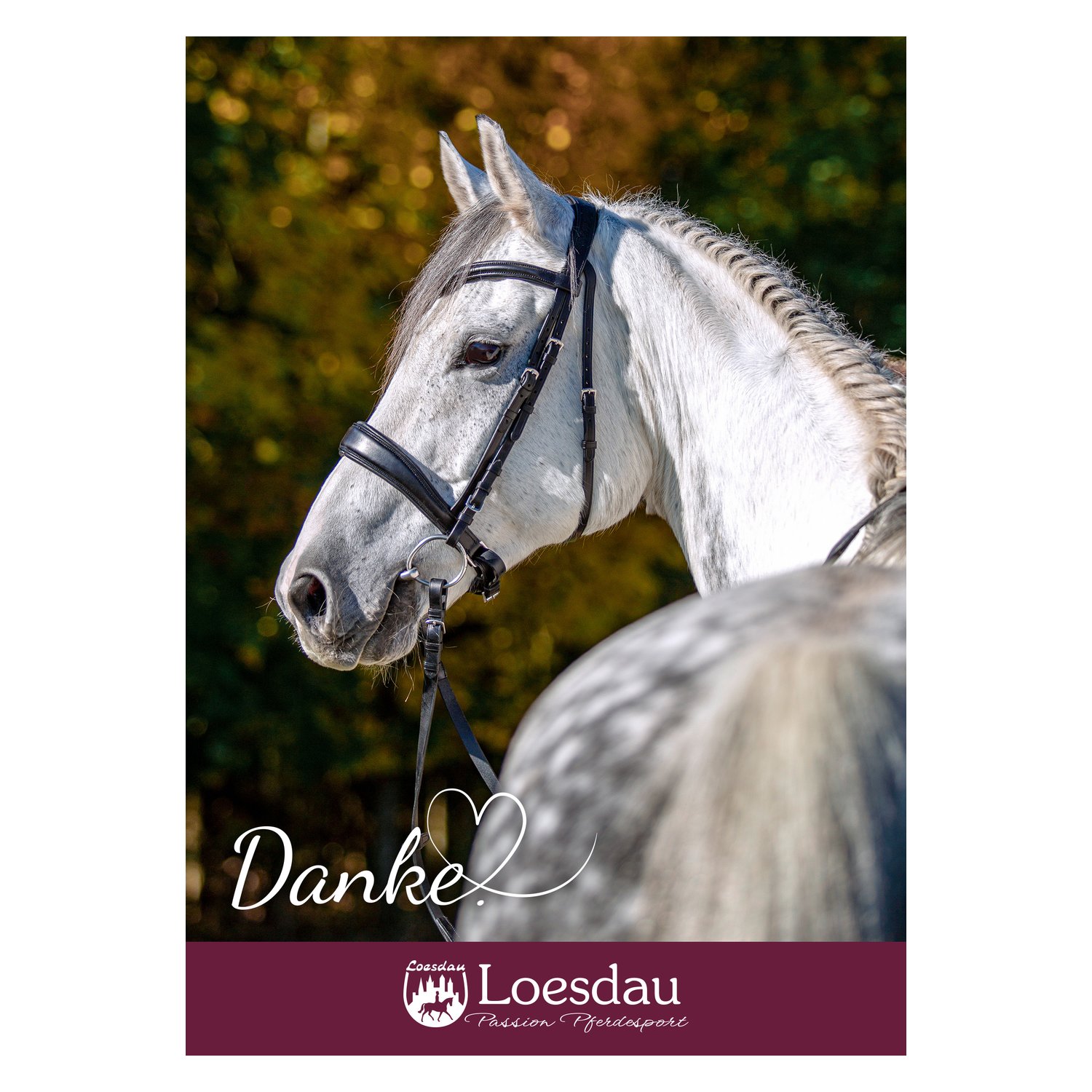 Loesdau Gutschein zum Drucken – Ansicht 1