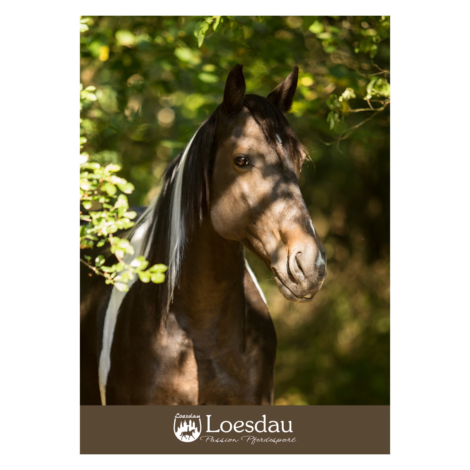 Loesdau Gutschein zum Drucken – Ansicht 1