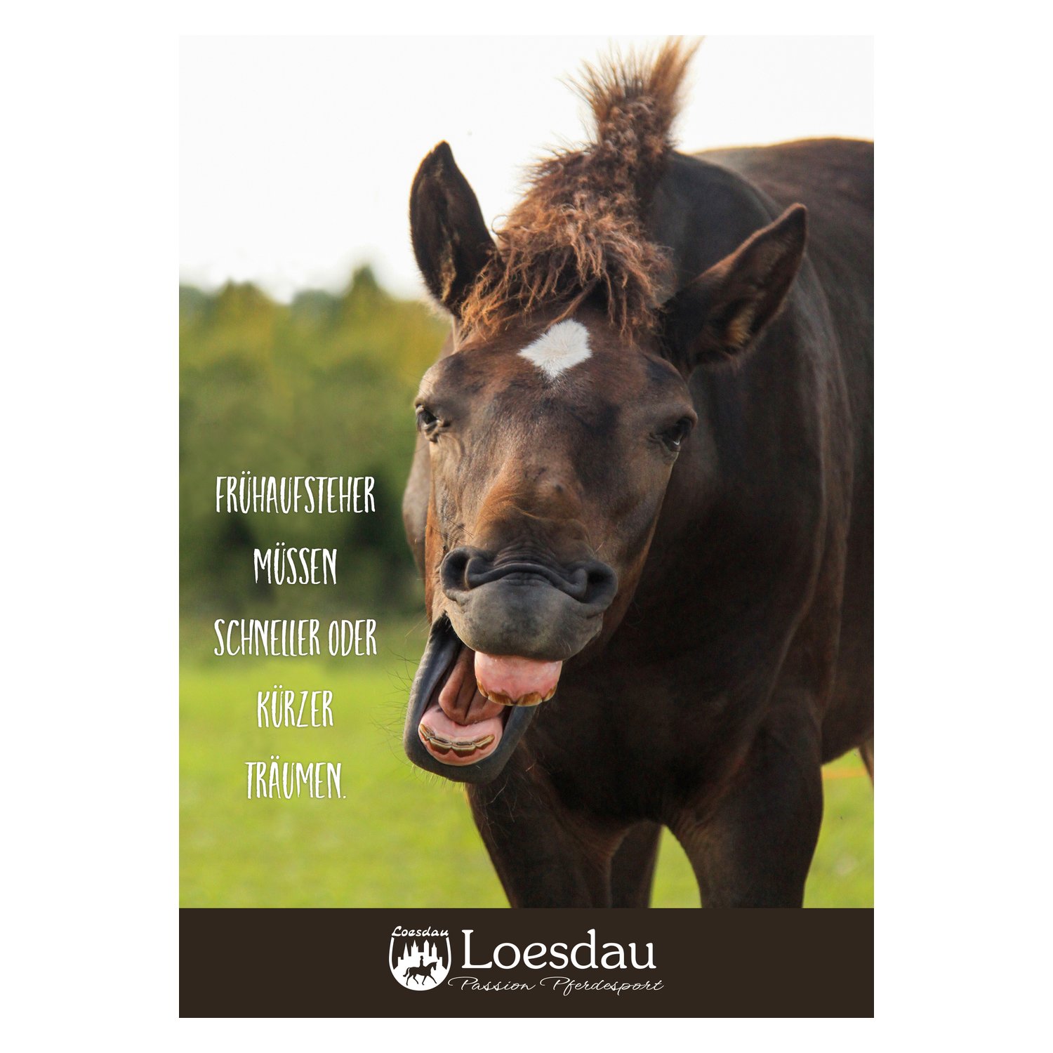 Loesdau Gutschein zum Drucken – Ansicht 1