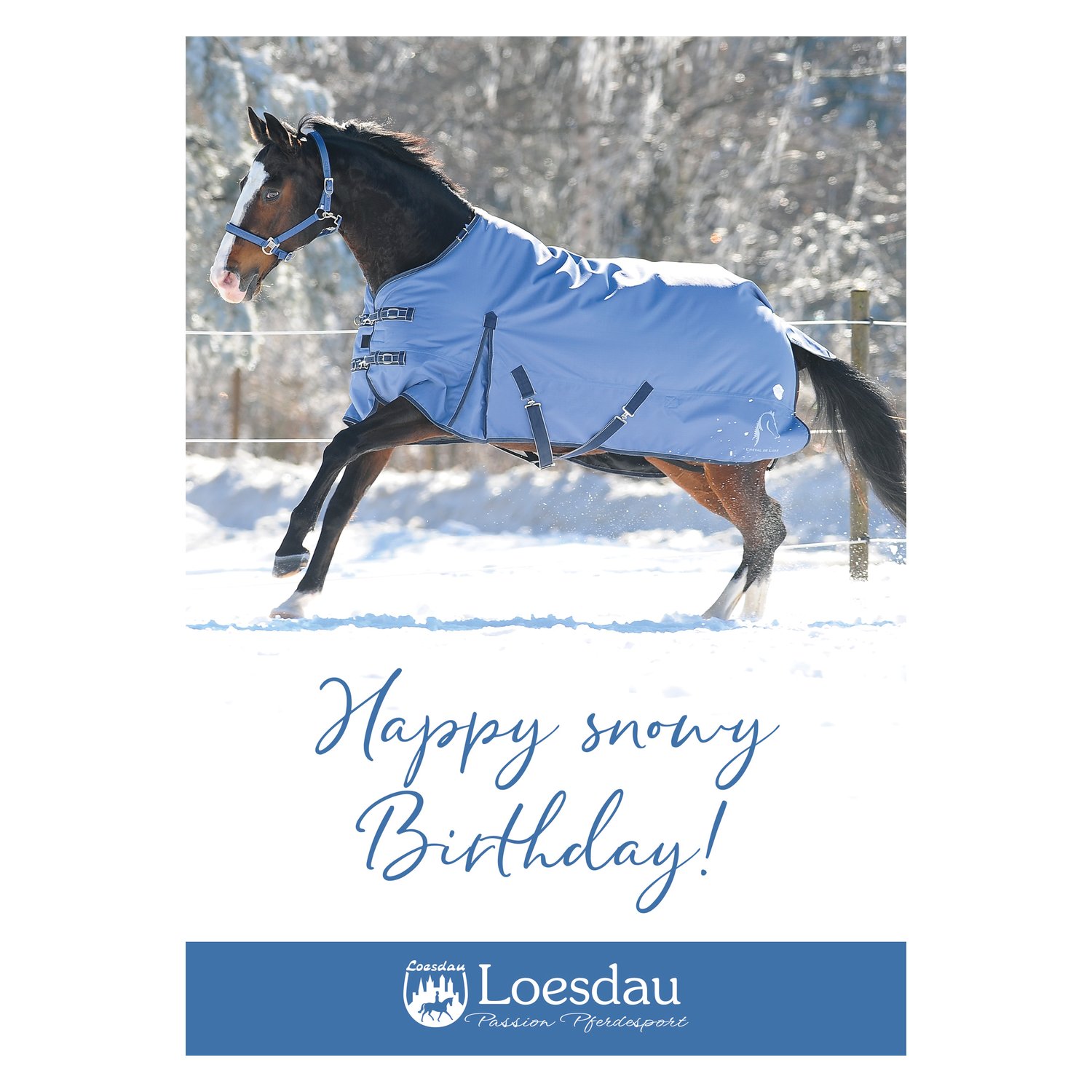 Loesdau Gutschein zum Drucken – Ansicht 1