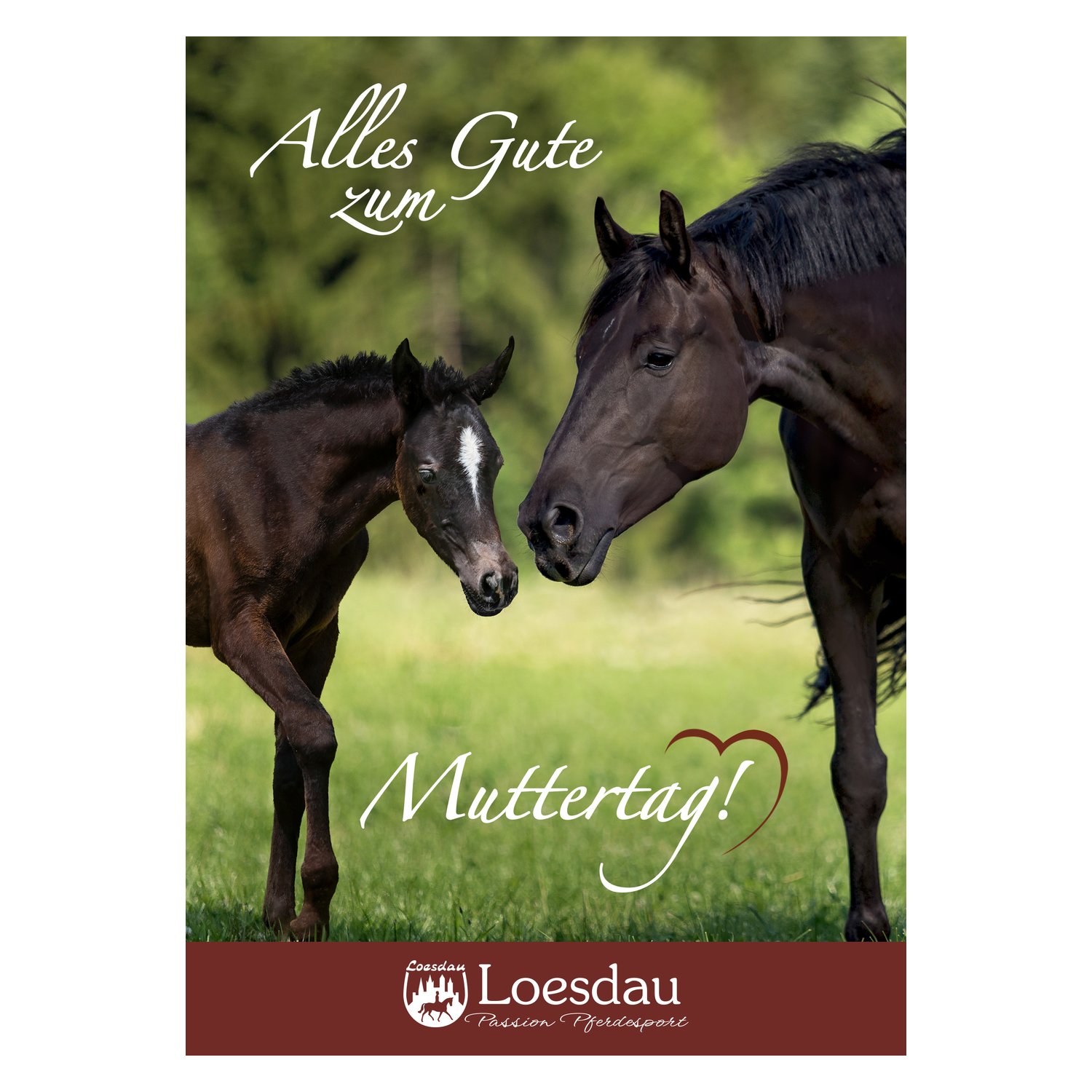 Loesdau Gutschein zum Drucken &ndash; Ansicht 1