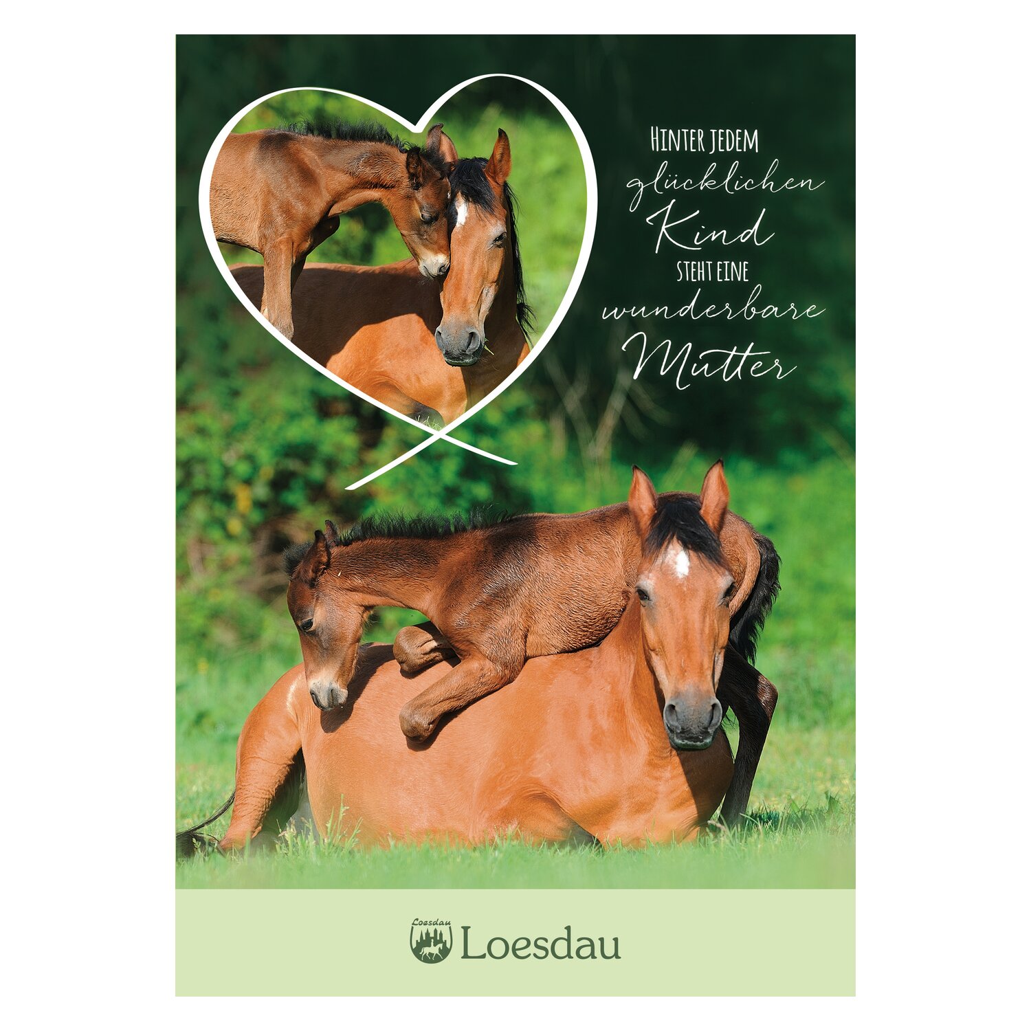 Loesdau Gutschein zum Drucken – Ansicht 1