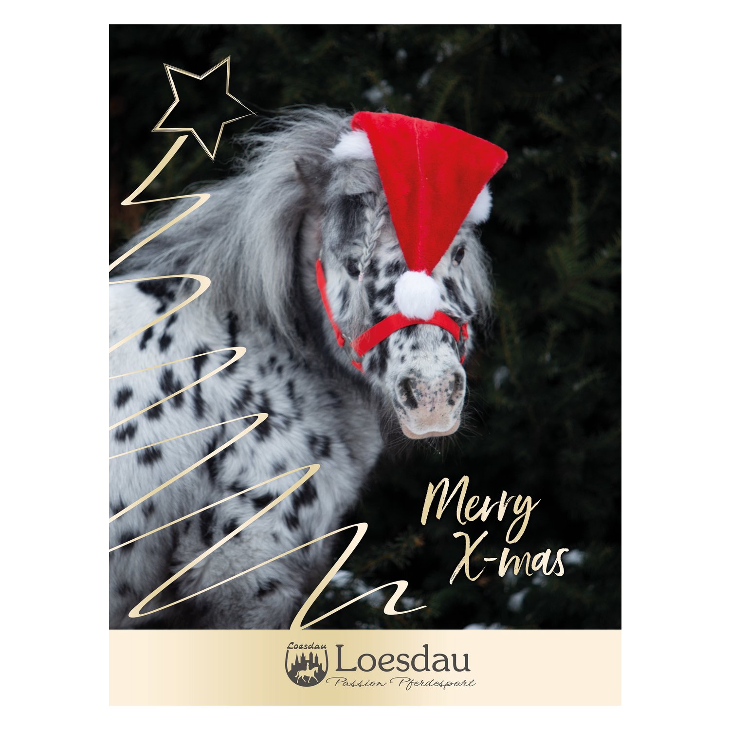 Loesdau Gutschein zum Drucken – Ansicht 1