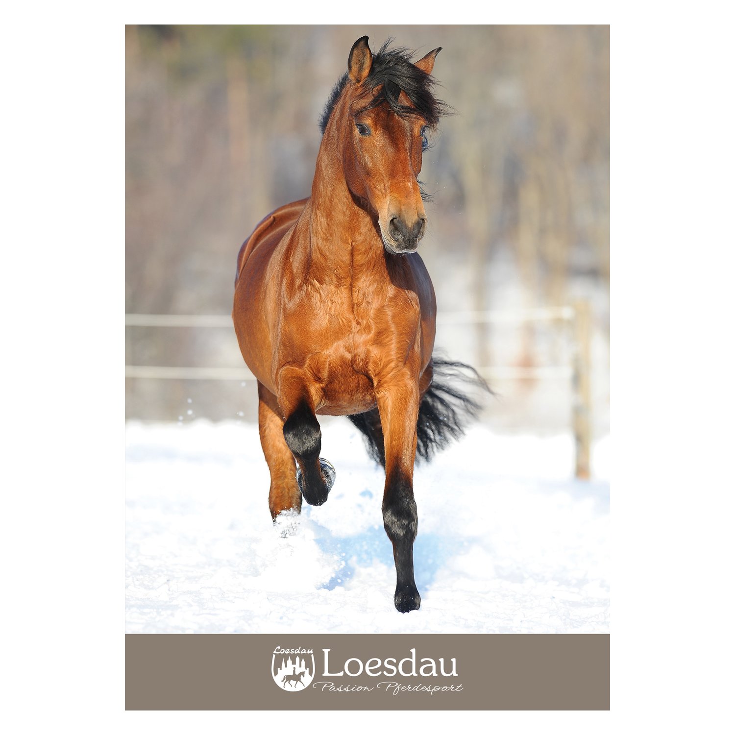 Loesdau Gutschein zum Drucken – Ansicht 1