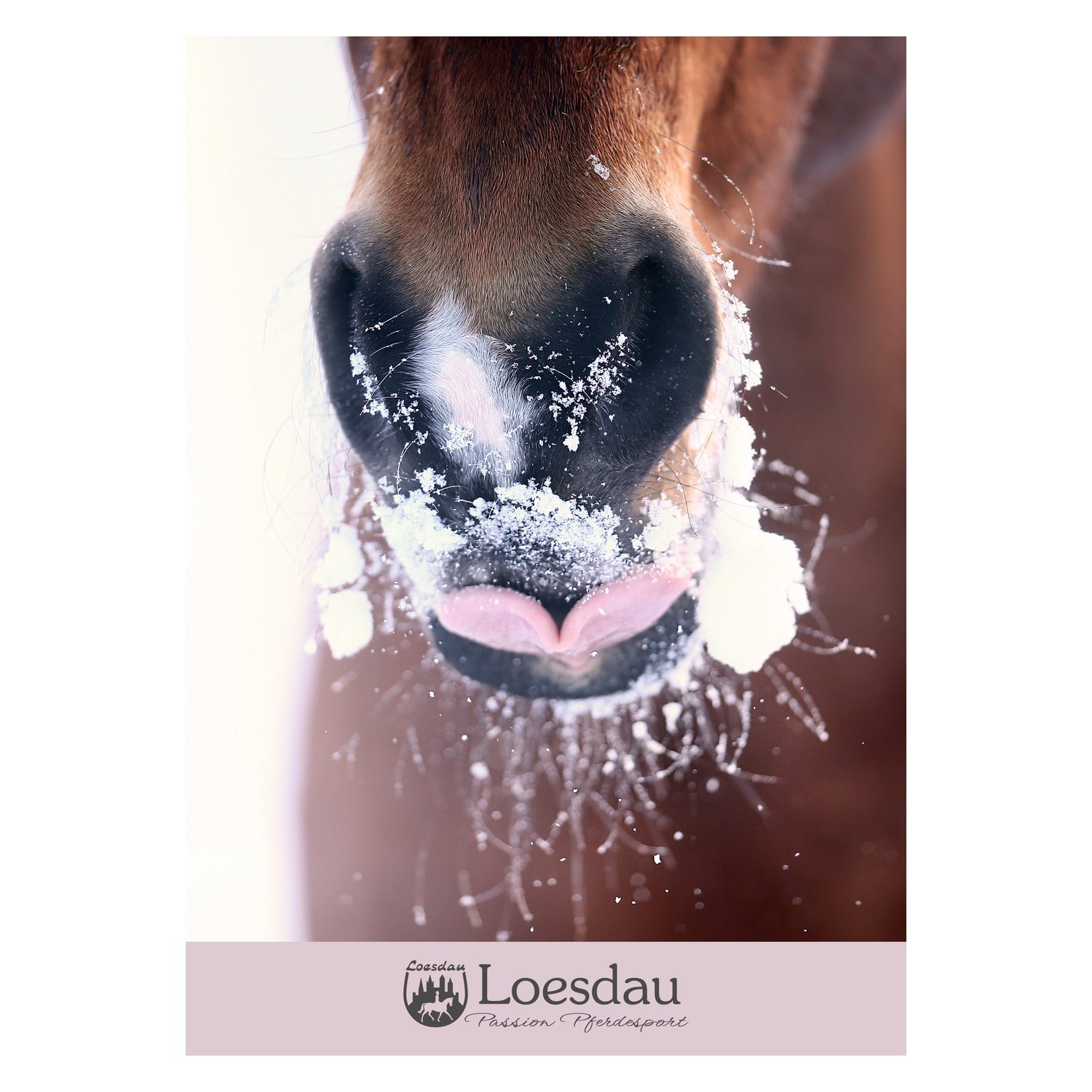 Loesdau Gutschein zum Drucken – Ansicht 1