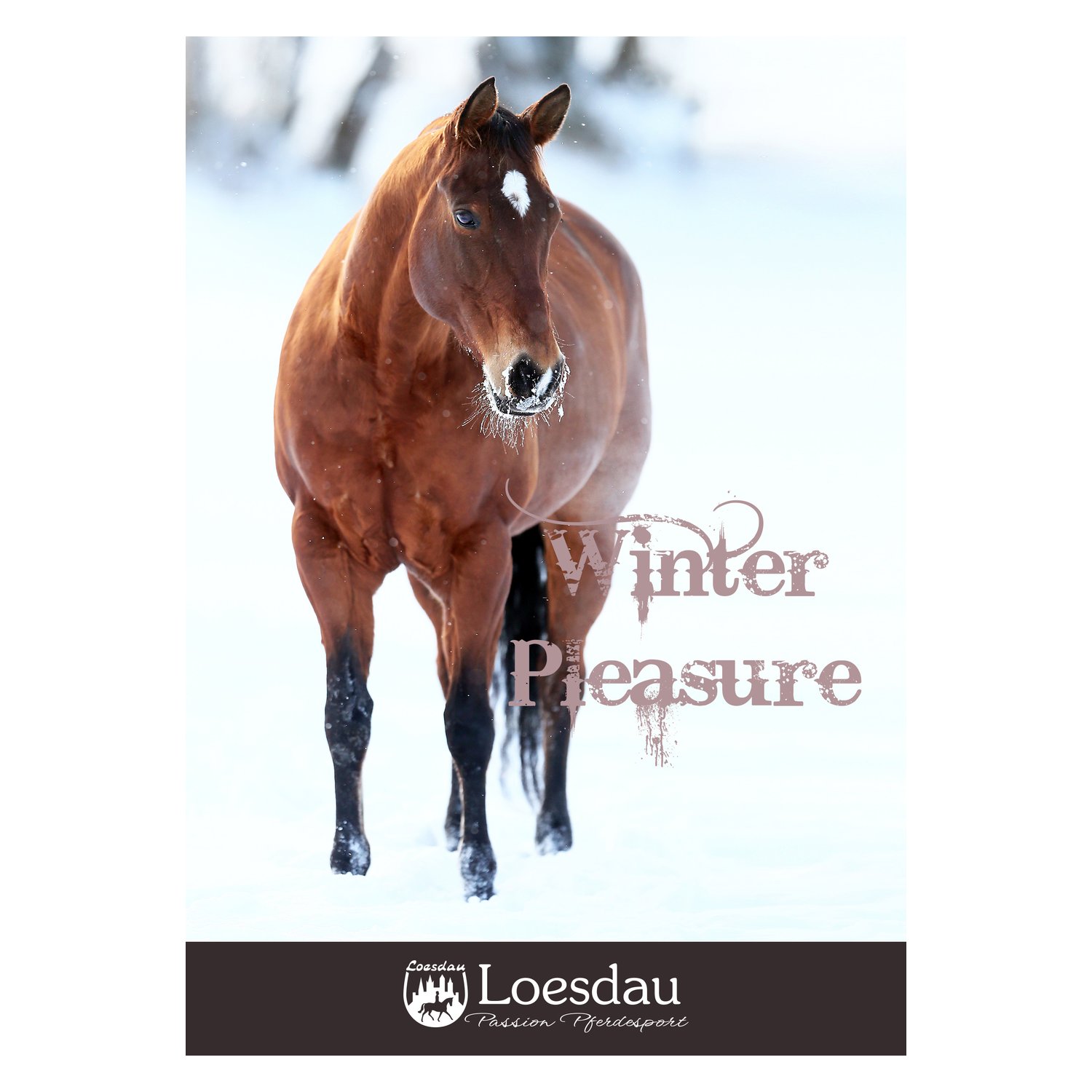 Loesdau Gutschein zum Drucken – Ansicht 1