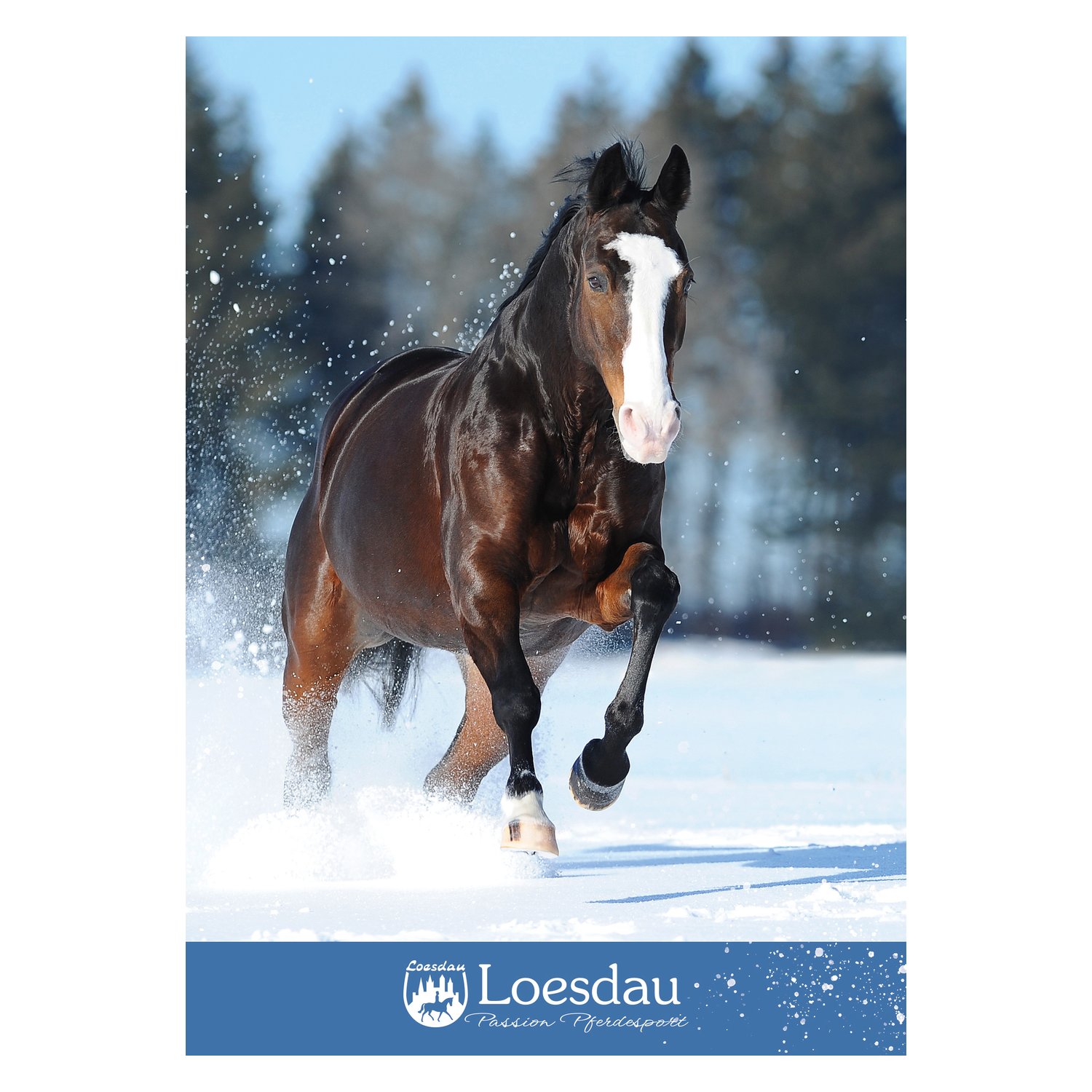 Loesdau Gutschein zum Drucken – Ansicht 1