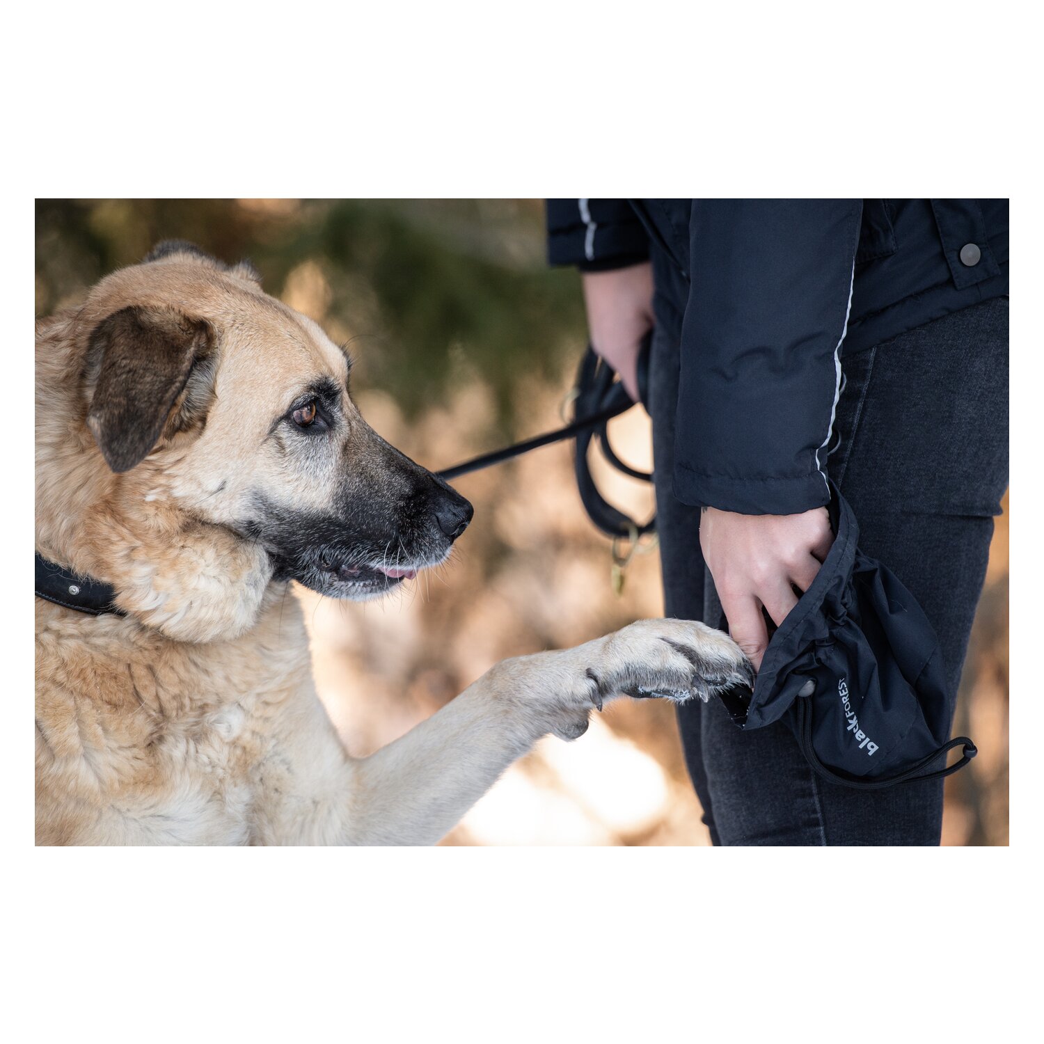 black forest Multifunktions-Outdoorjacke – Ansicht 7