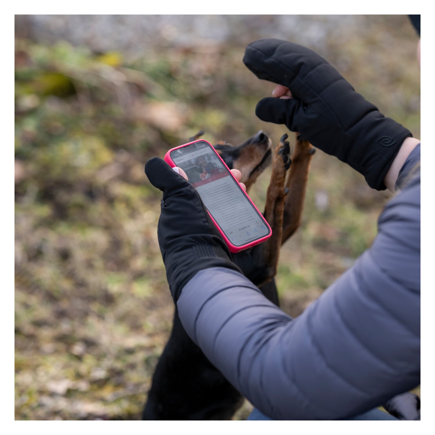 Roeckl Reithandschuhe NAGOYA – Ansicht 3