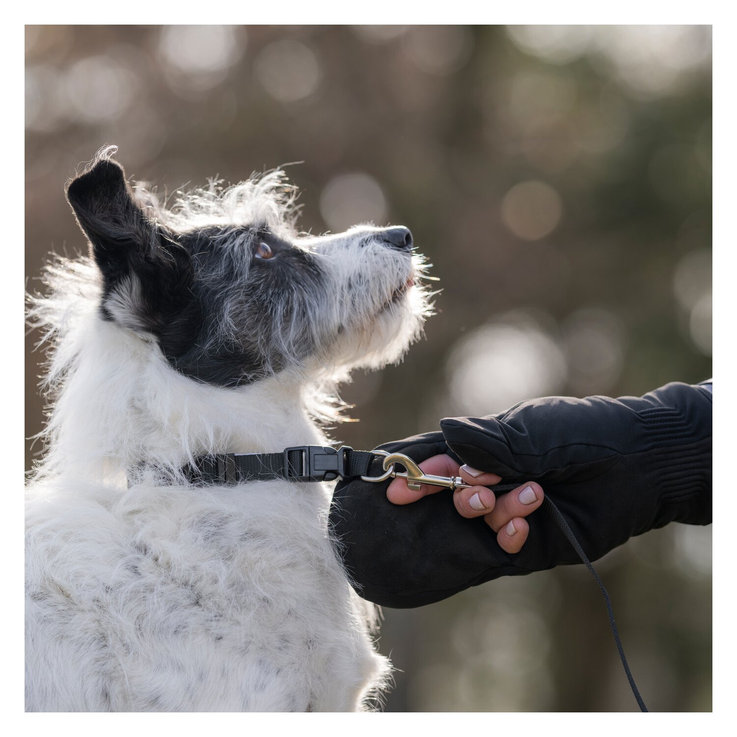 Roeckl Reithandschuhe NAGOYA – Ansicht 5