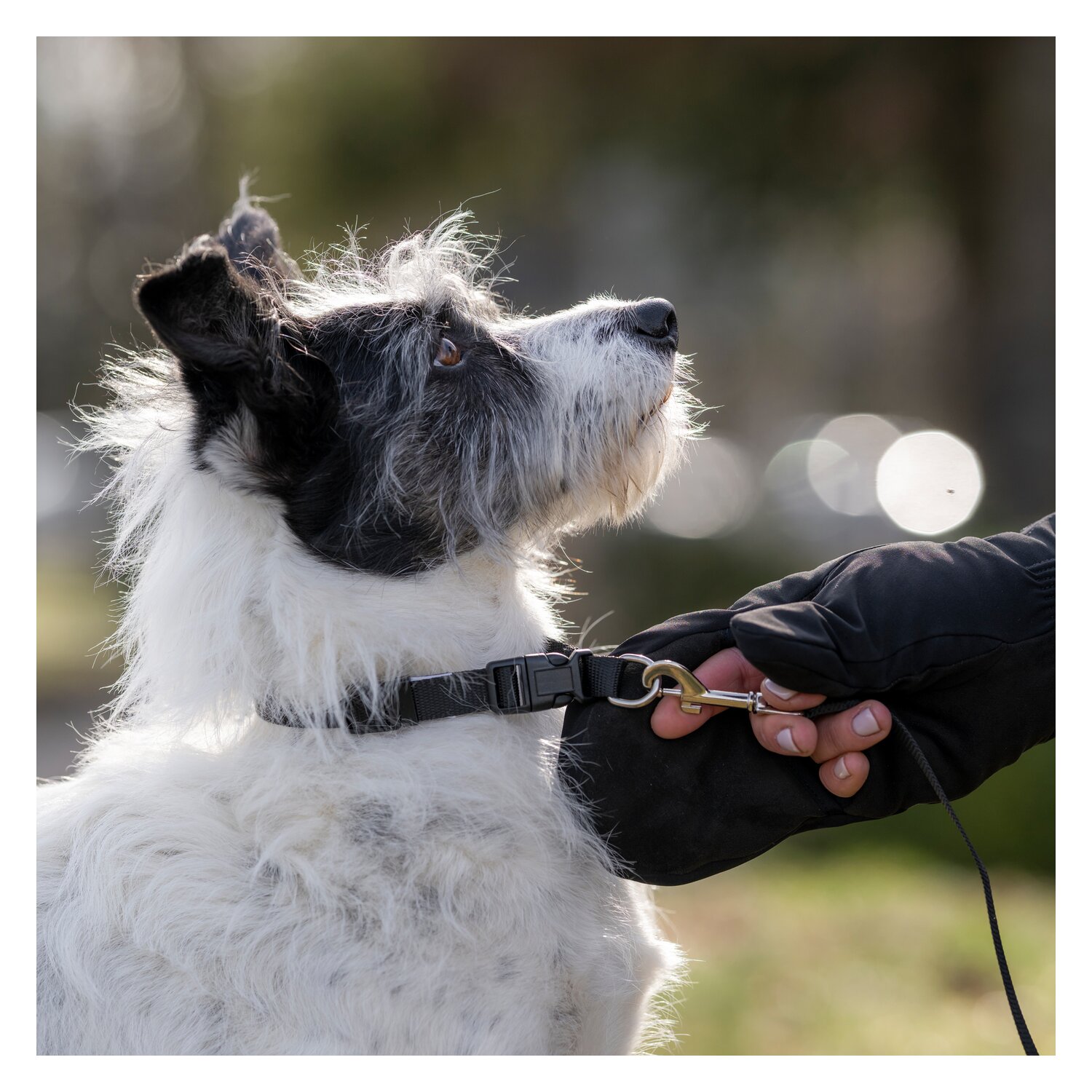 Roeckl Reithandschuhe NAGOYA – Ansicht 6