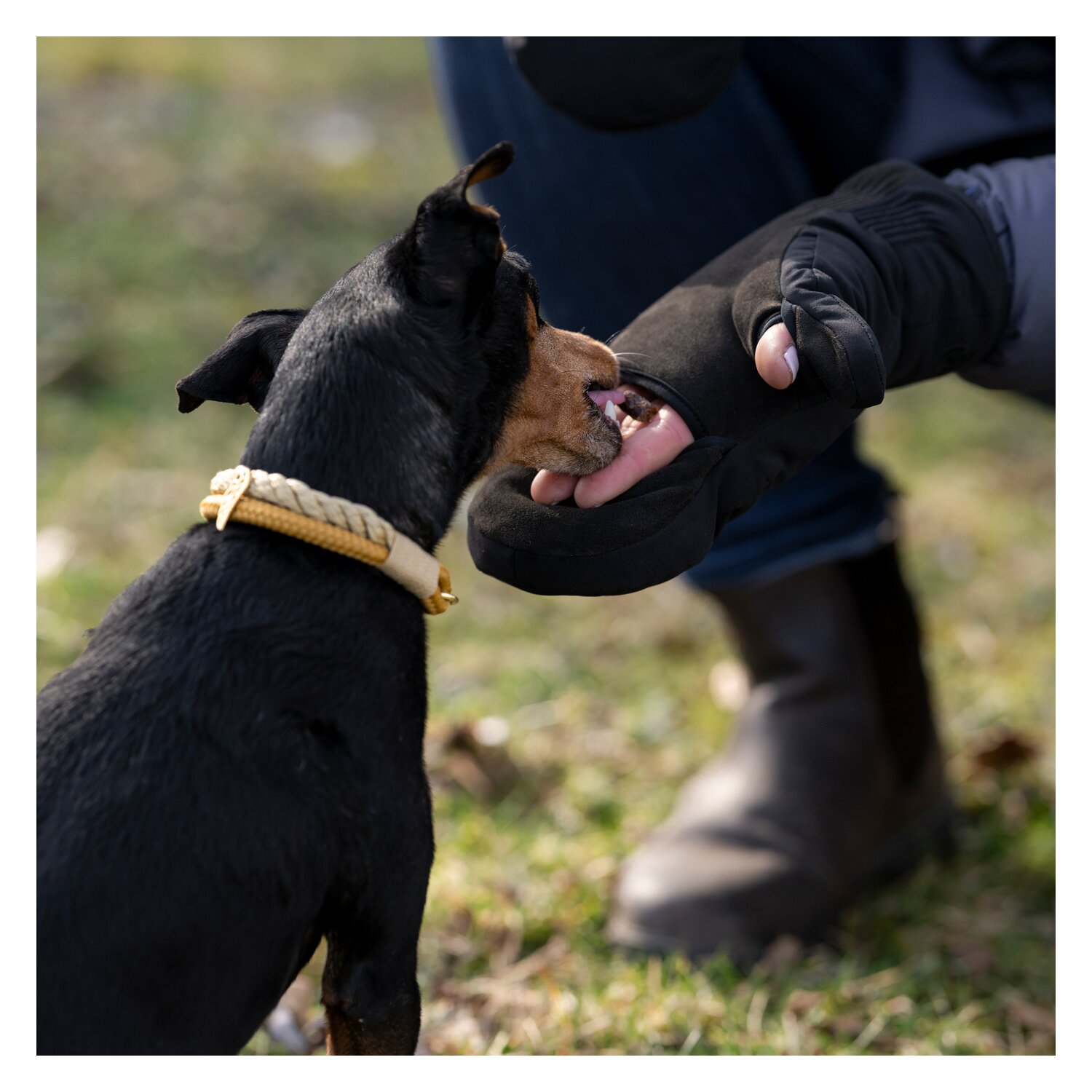 Roeckl Reithandschuhe NAGOYA – Ansicht 2