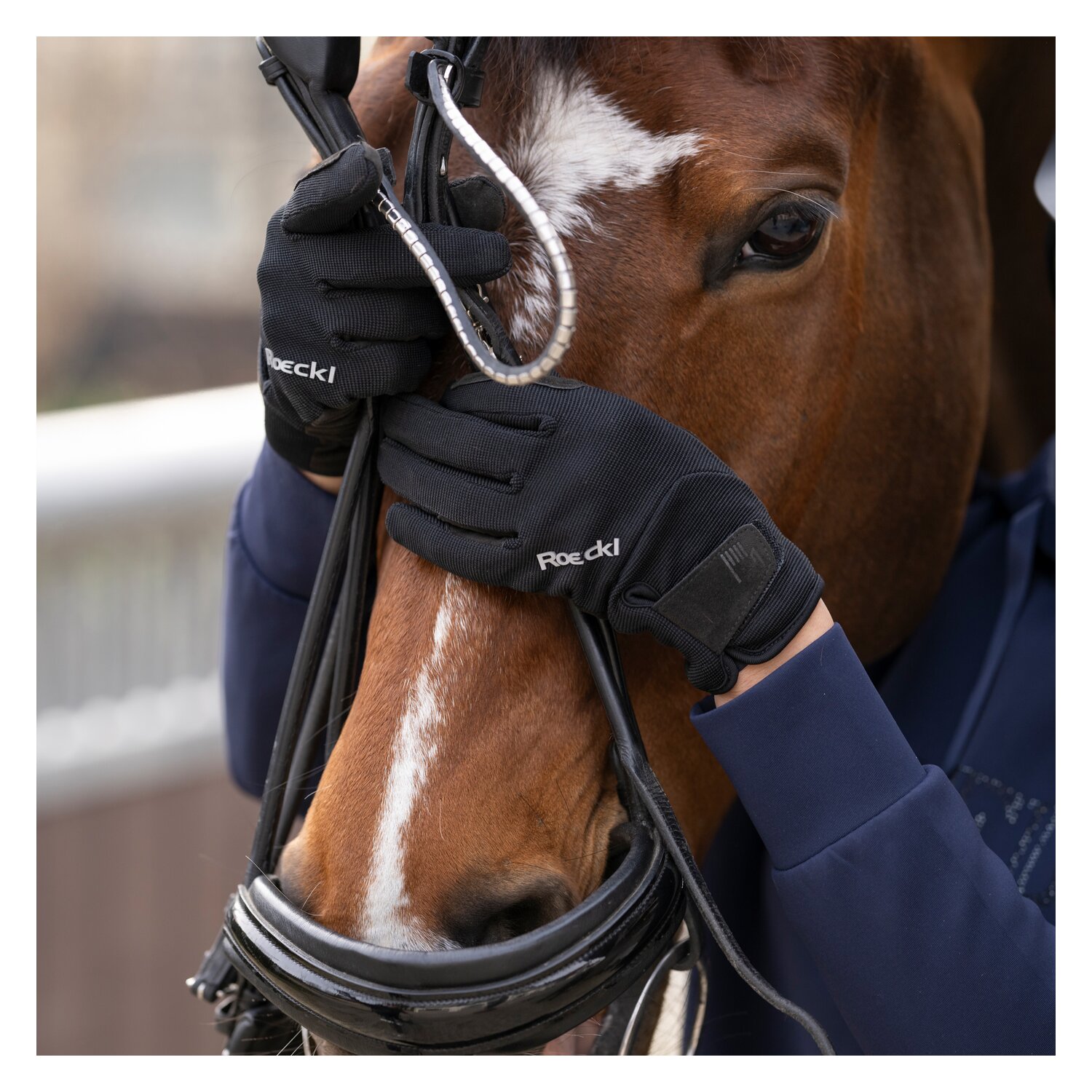 Roeckl Reithandschuhe MEURA WINTER – Ansicht 7