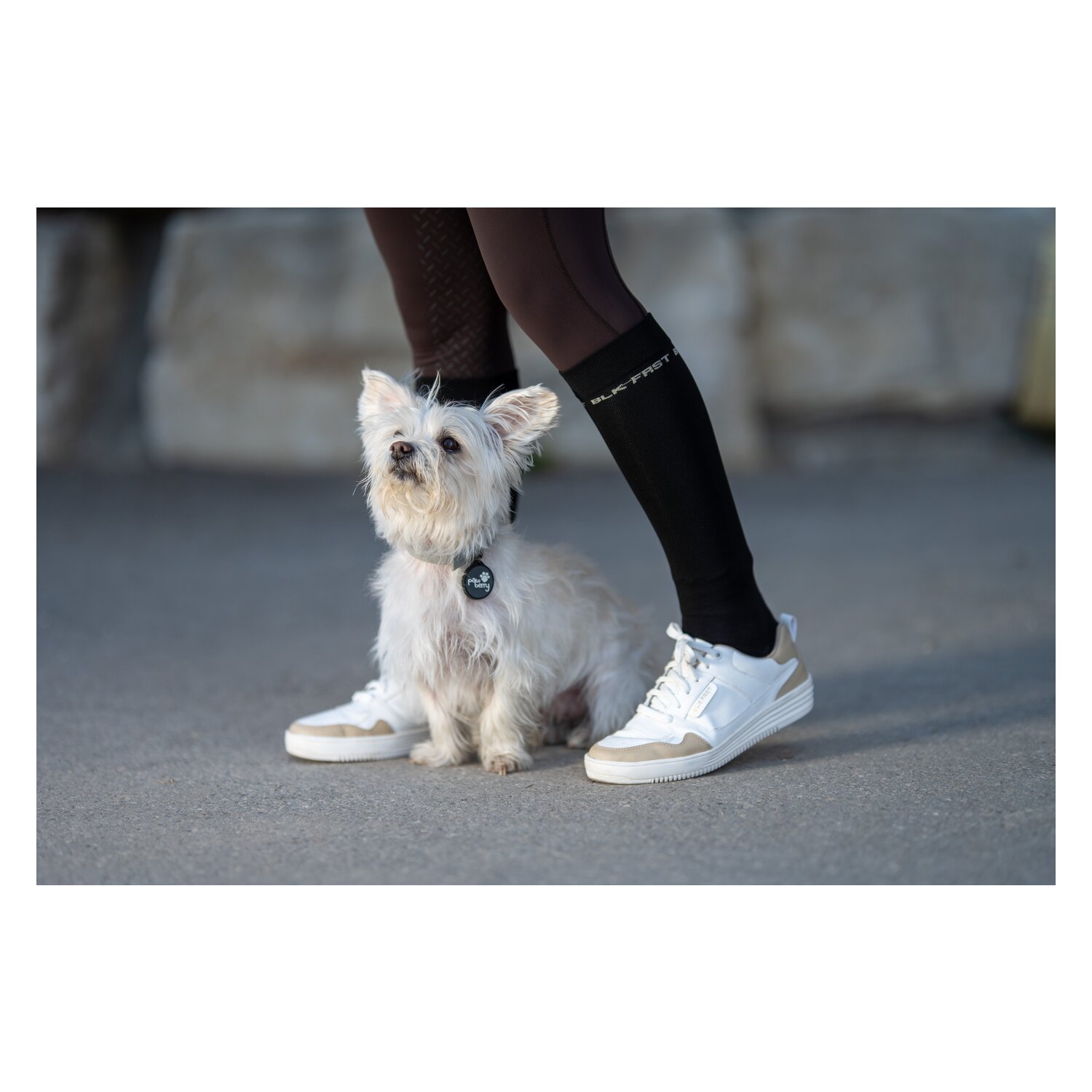 black forest Thinsocks mit Logoschriftzug – Ansicht 3