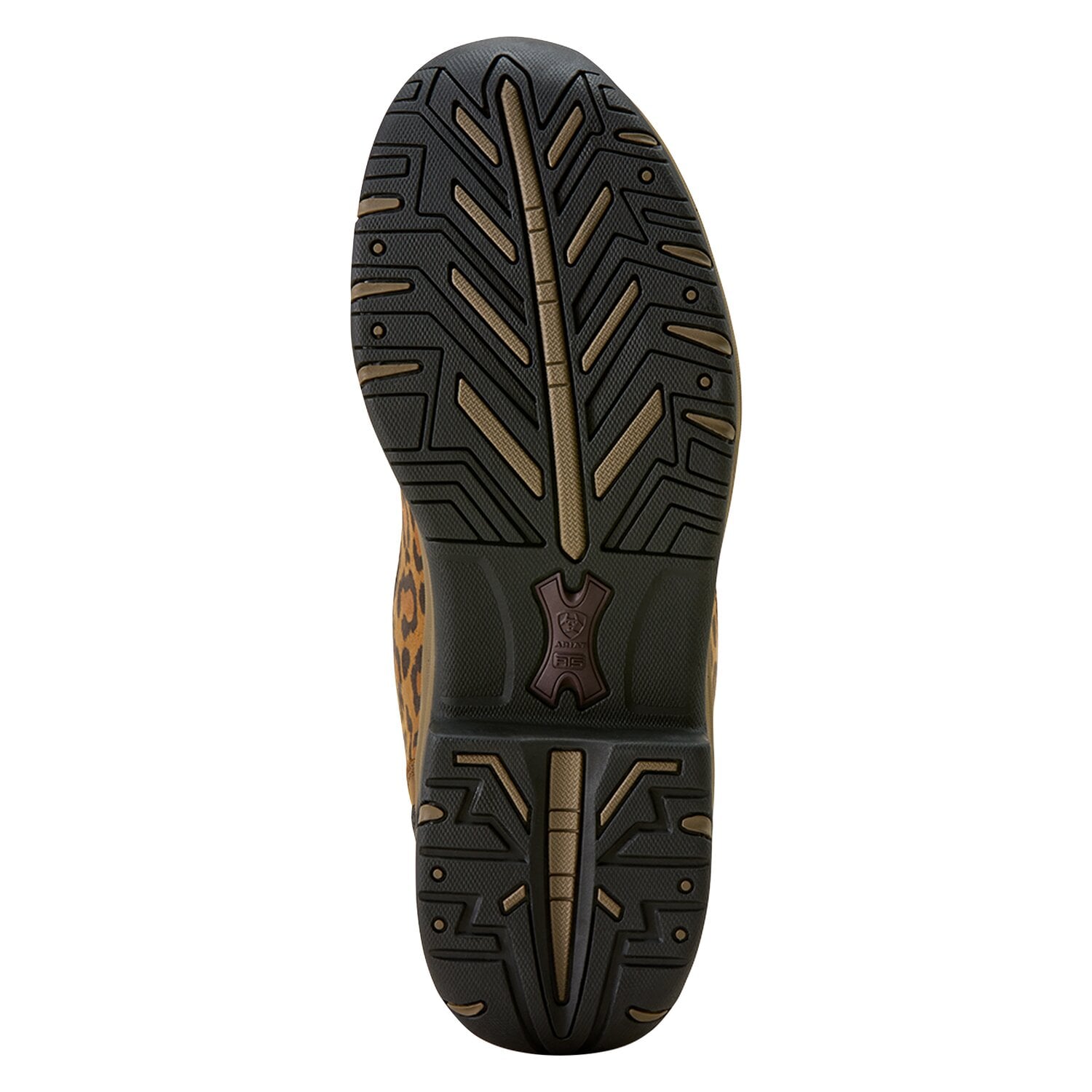 ARIAT Reit- und Trekkingschuh Woman's Terrain &ndash; Ansicht 5