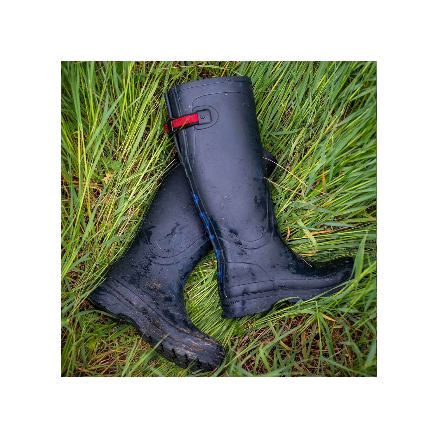 ARIAT Gummistiefel Kelmarsh – Ansicht 8