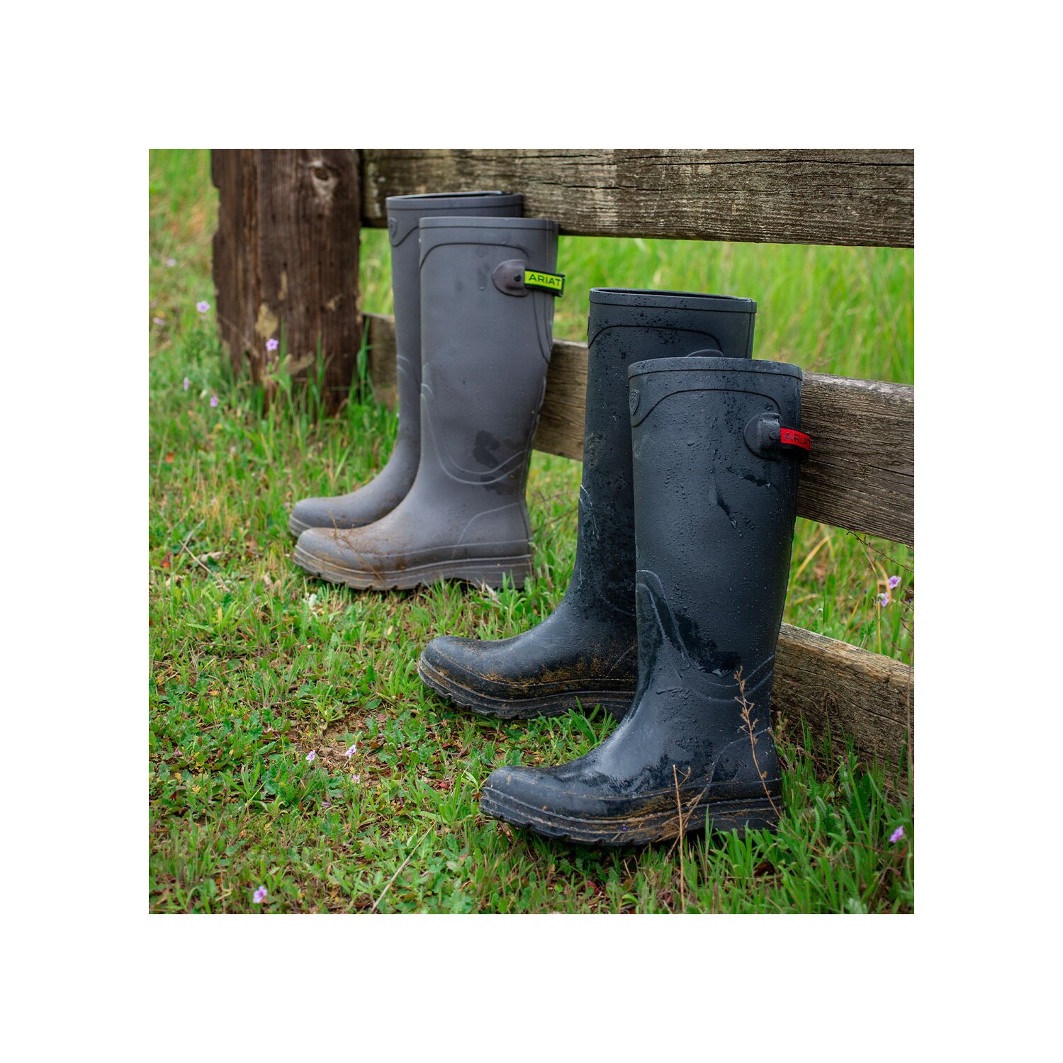 ARIAT Gummistiefel Kelmarsh – Ansicht 9