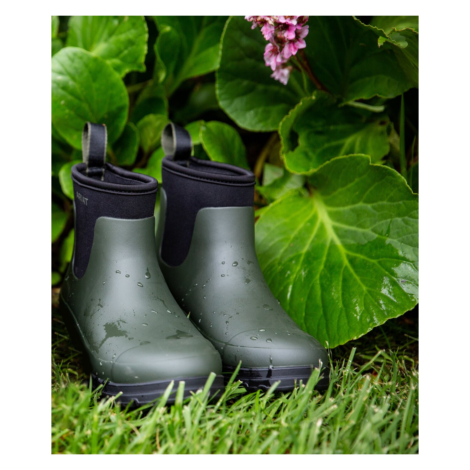 ARIAT Gummistiefel Kelmarsh Shortie &ndash; Ansicht 9