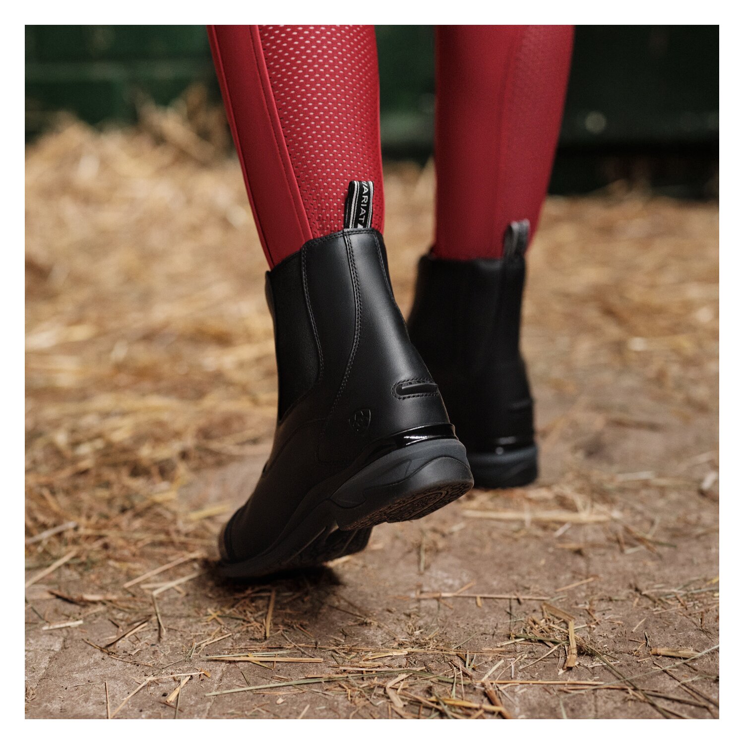 ARIAT Stiefelette Devon Zip Paddock – Ansicht 2