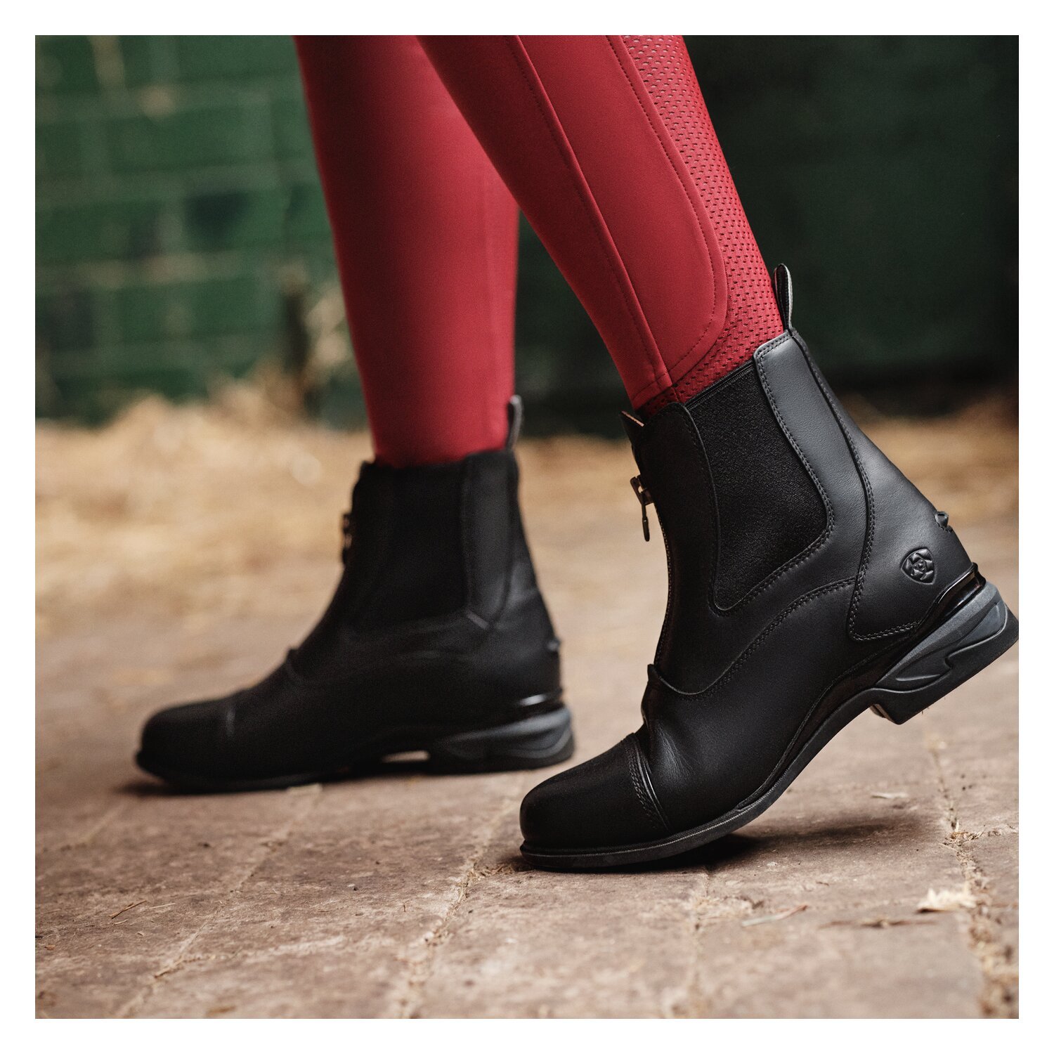 ARIAT Stiefelette Devon Zip Paddock – Ansicht 1