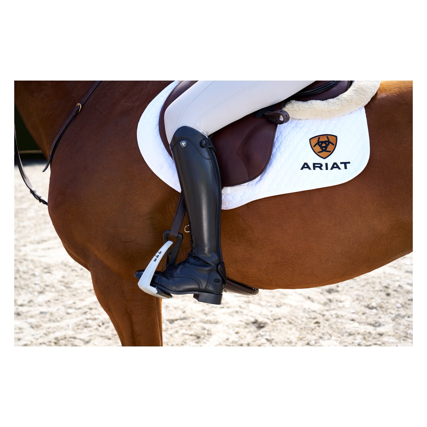 ARIAT Reitstiefel Palisade Field – Ansicht 9